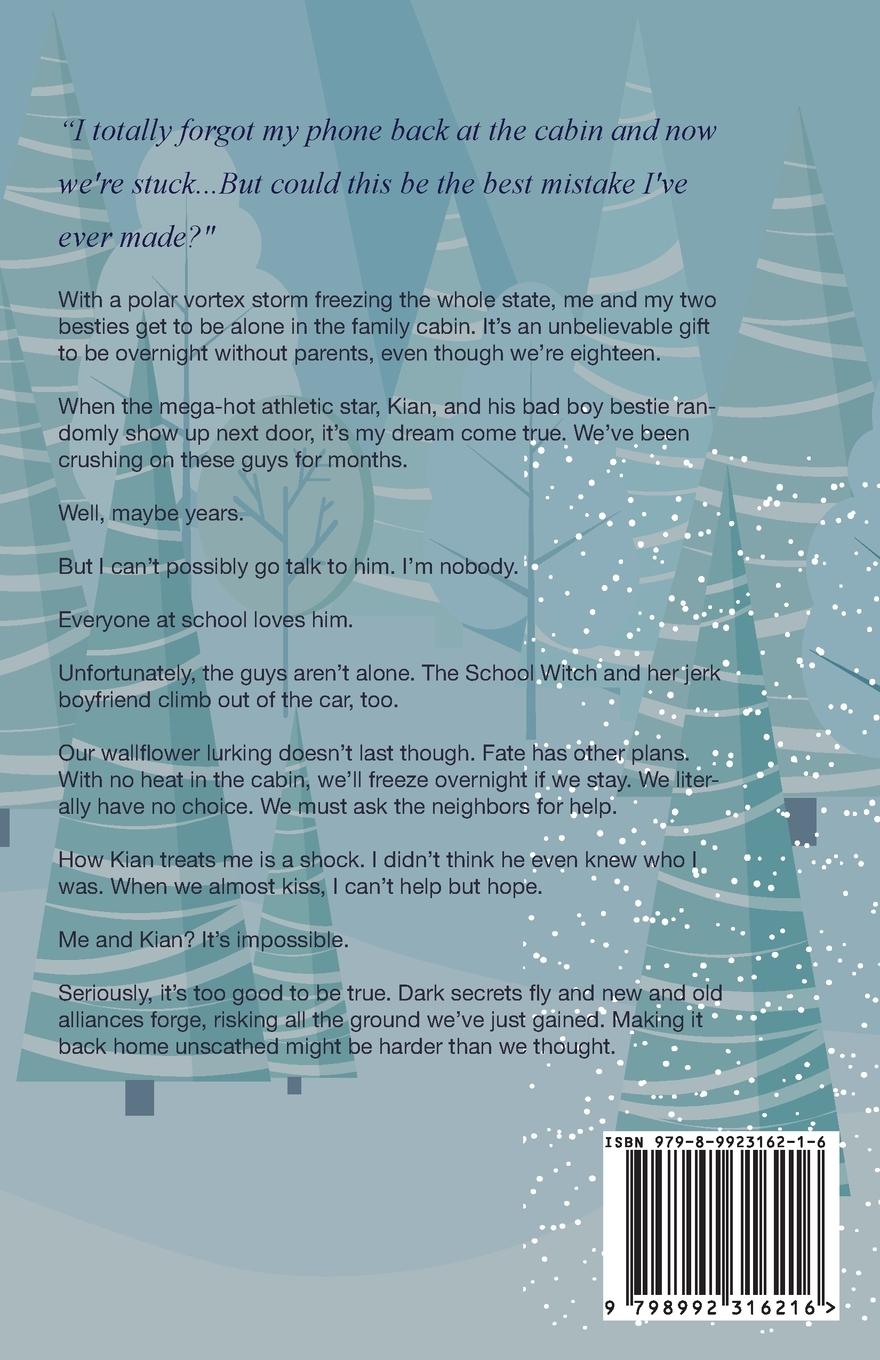 Rückseitencover Cabin Crew