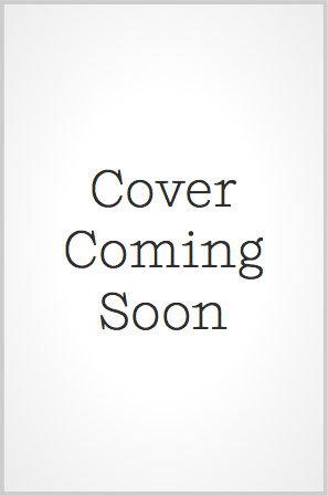 Vorderes Coverbild A Tale of the Secret Saint (Light Novel) Vol. 9