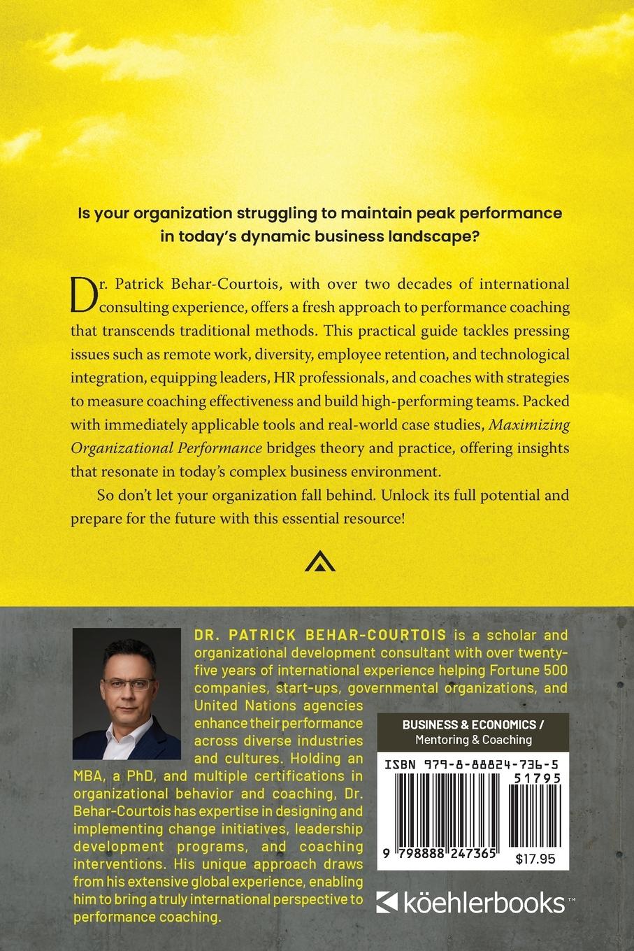 Rückseitencover Maximizing Organizational Performance