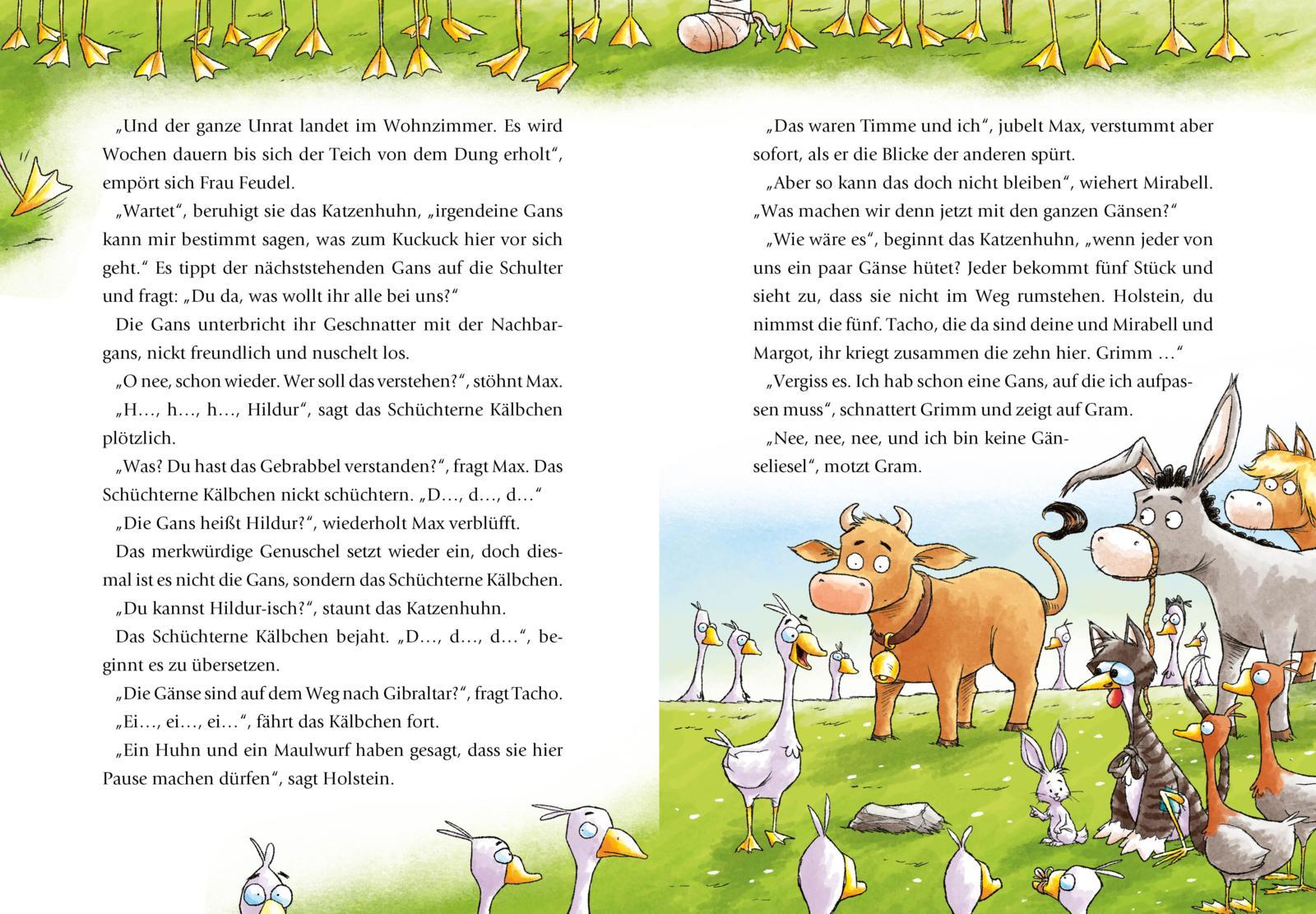 Beispielinhalt (Bild) Das Katzenhuhn 3: Vorlesegeschichten von einem sehr besonderen Bauernhof