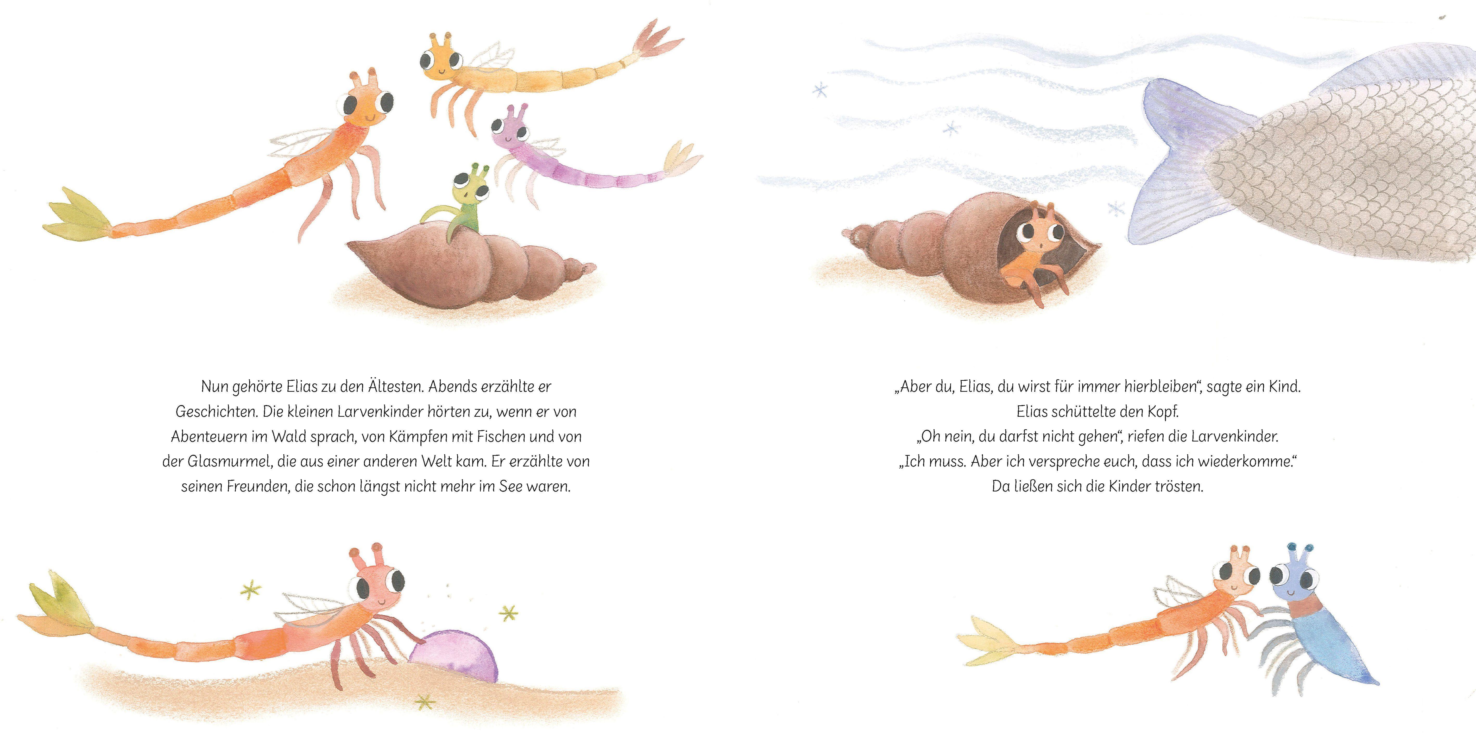 Beispielinhalt (Bild) Auf Wiedersehen, Elias!