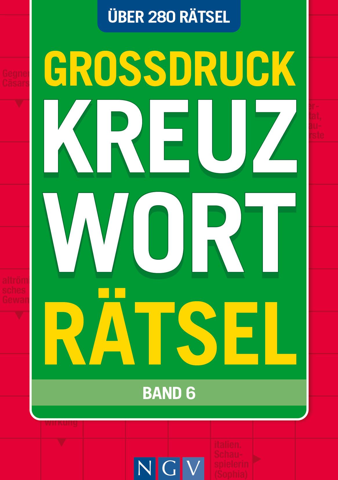 Vorderes Coverbild Großdruck Kreuzworträtsel Band 6