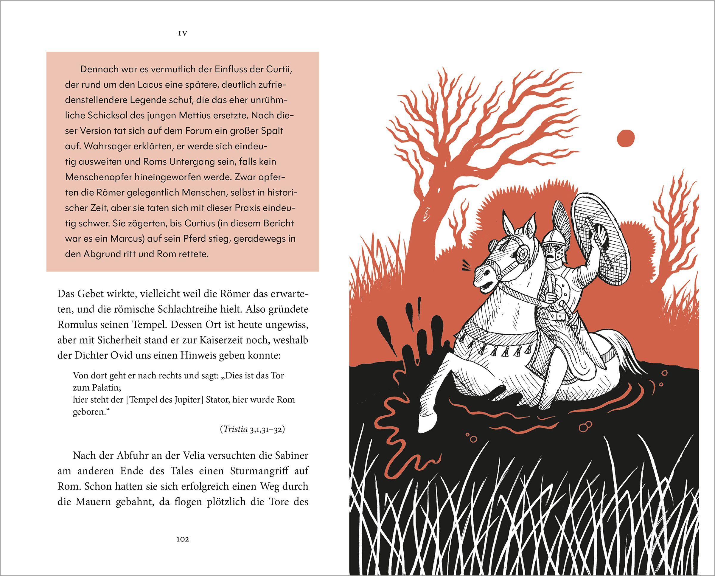 Beispielinhalt (Bild) ROM