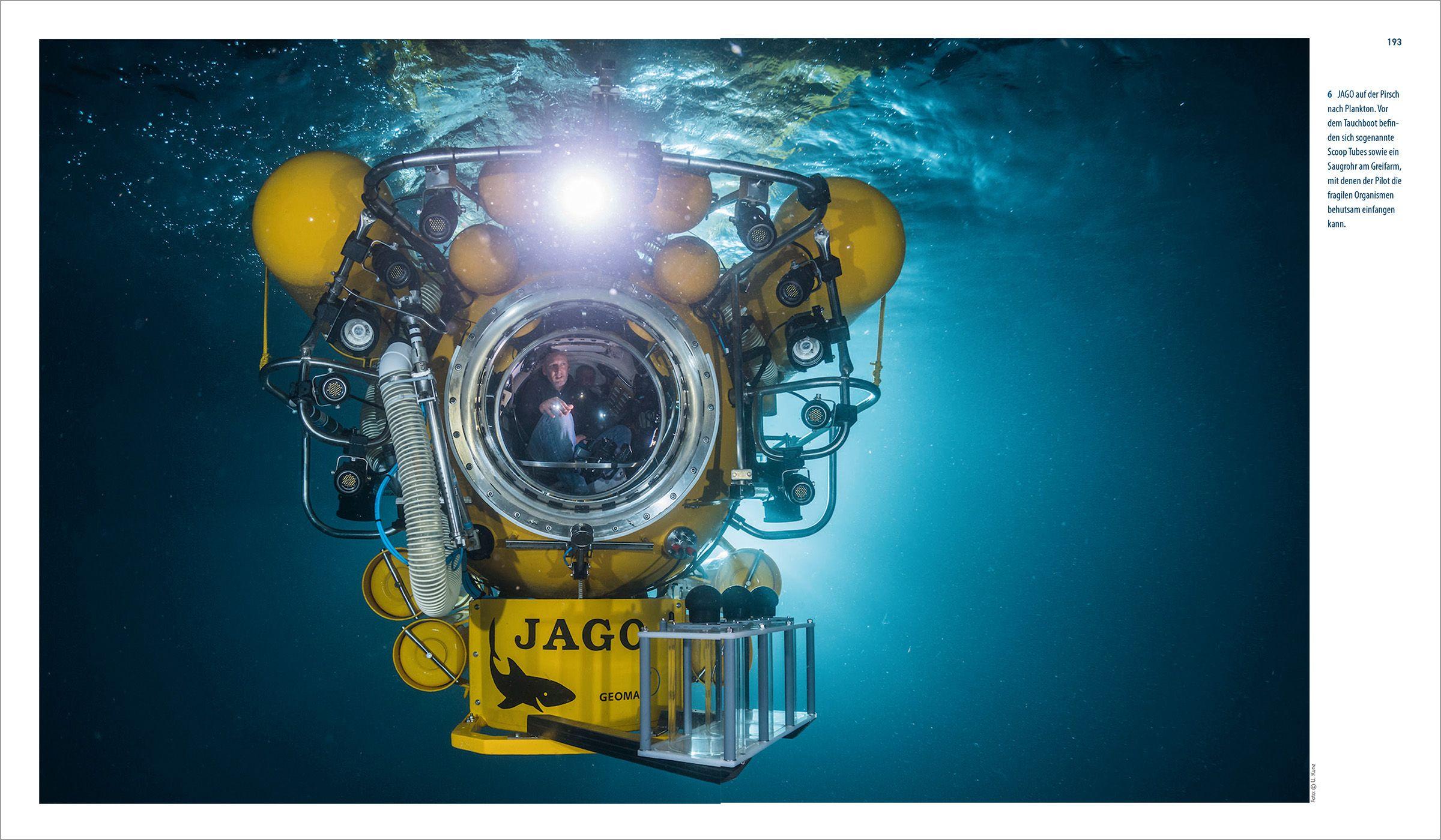 Beispielinhalt (Bild) Expedition ins Unbekannte
