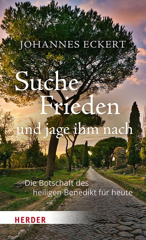 Vorderes Coverbild Suche Frieden und jage ihm nach