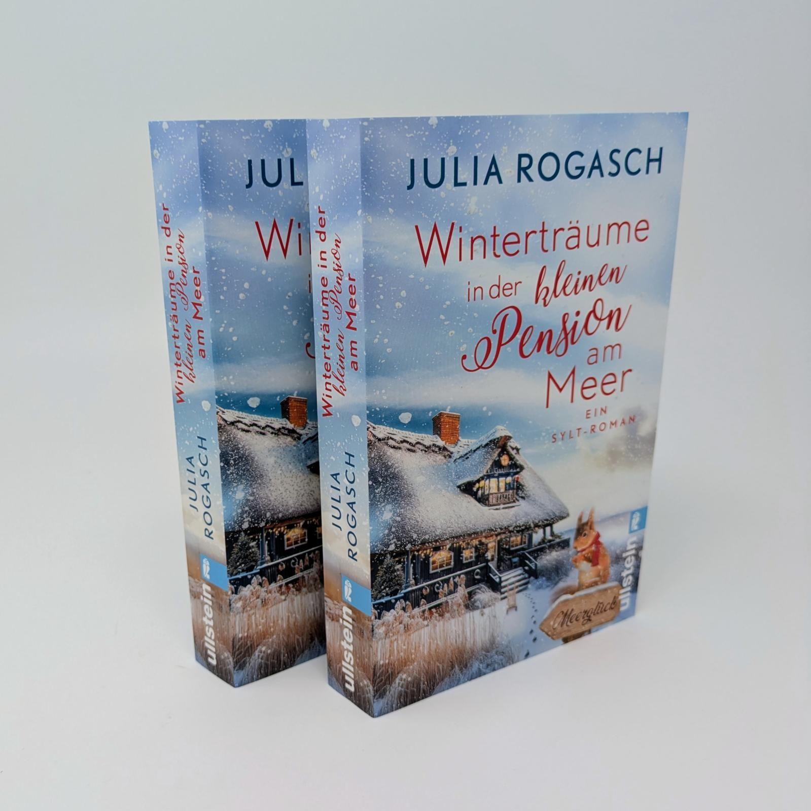 Beispielinhalt (Bild) Winterträume in der kleinen Pension am Meer