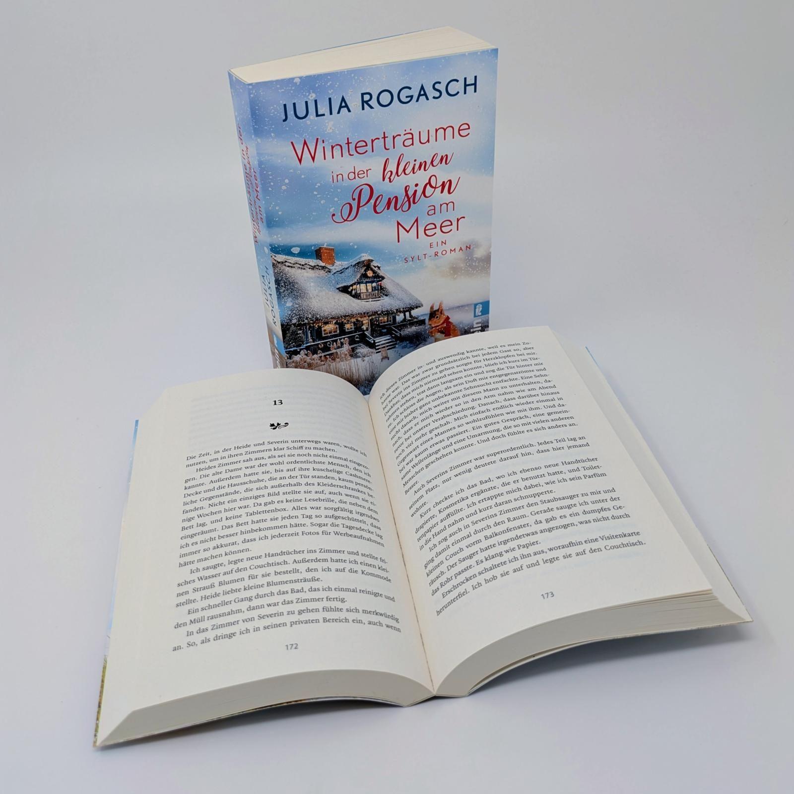 Beispielinhalt (Bild) Winterträume in der kleinen Pension am Meer