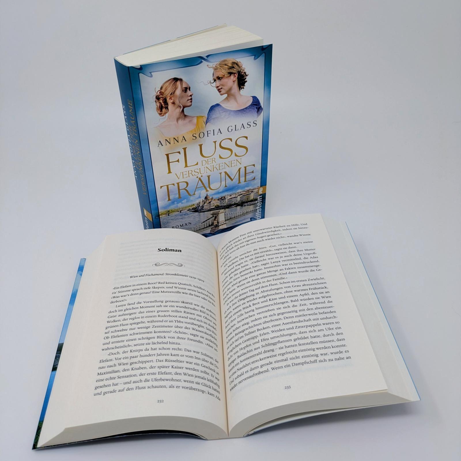 Beispielinhalt (Bild) Fluss der versunkenen Träume