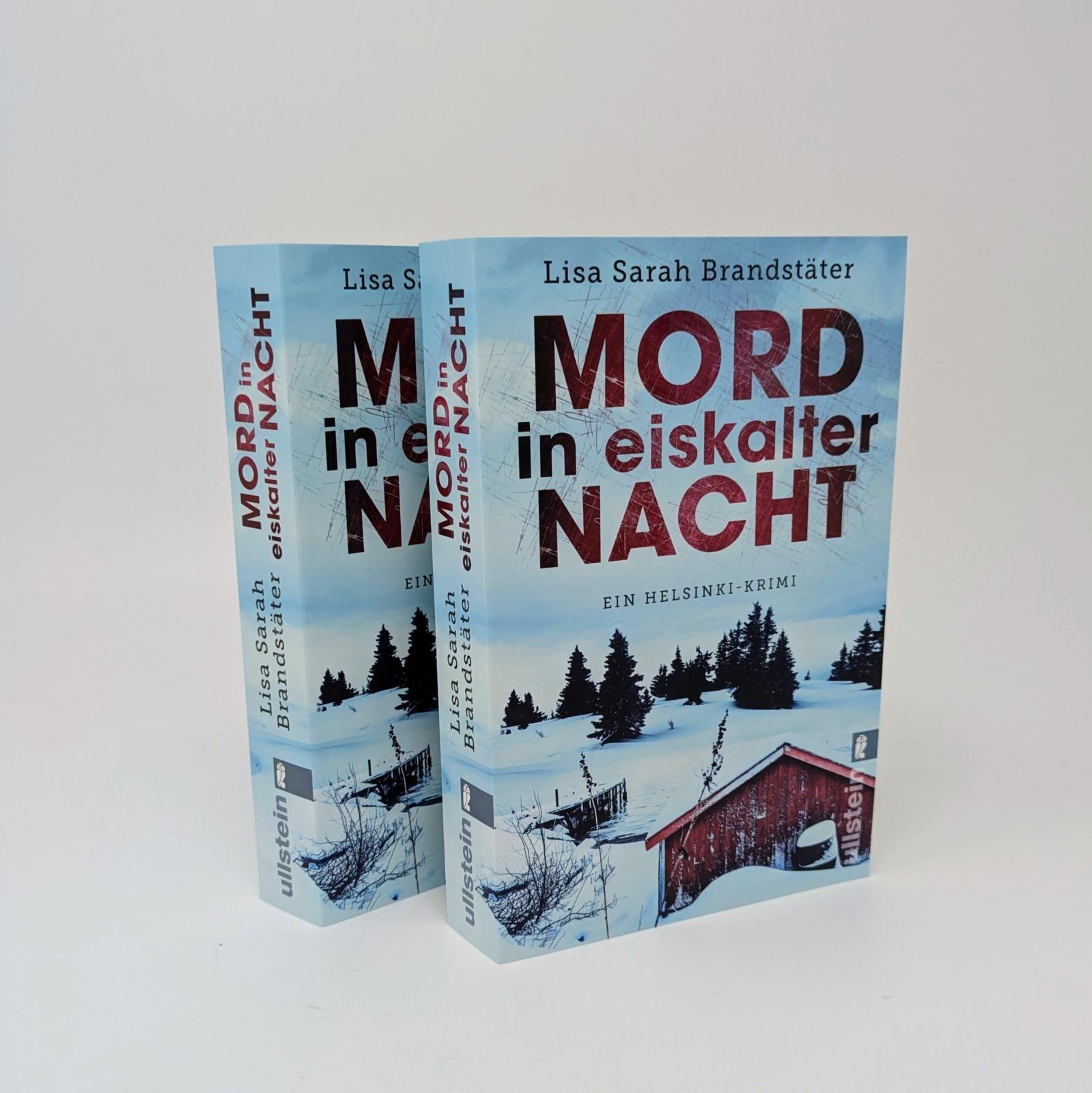Beispielinhalt (Bild) Mord in eiskalter Nacht