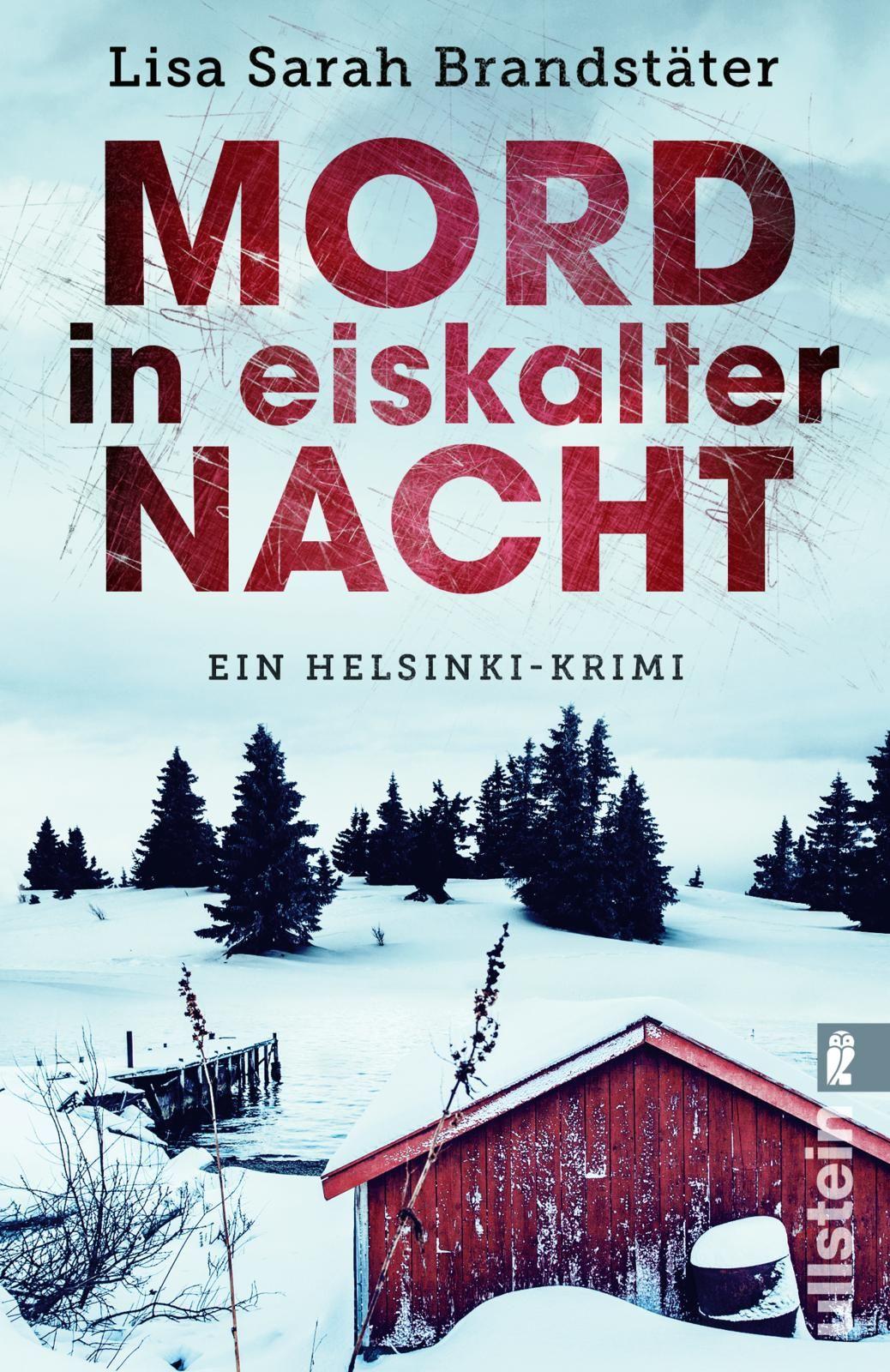 Vorderes Coverbild Mord in eiskalter Nacht