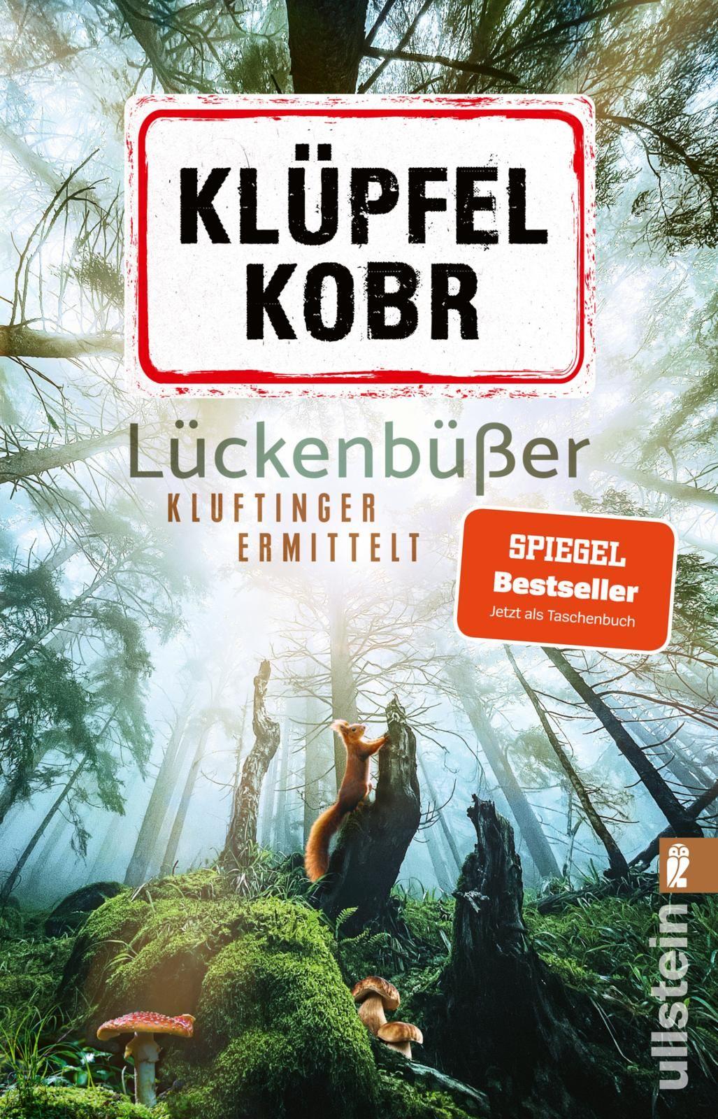 Vorderes Coverbild Lückenbüßer