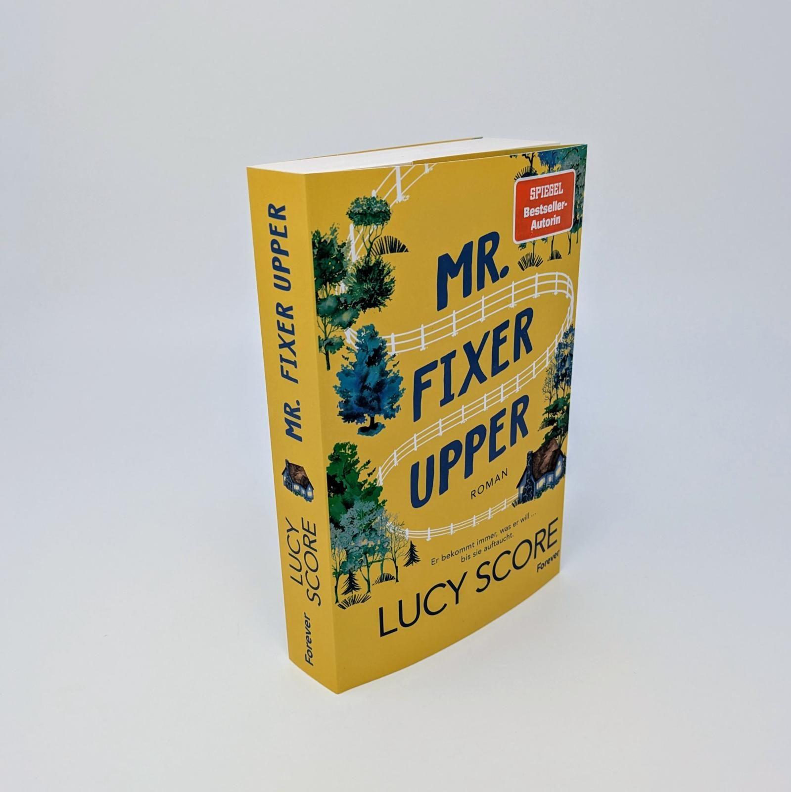 Beispielinhalt (Bild) Mr. Fixer Upper