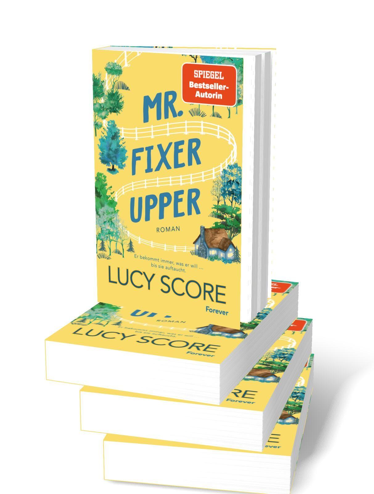 Beispielinhalt (Bild) Mr. Fixer Upper