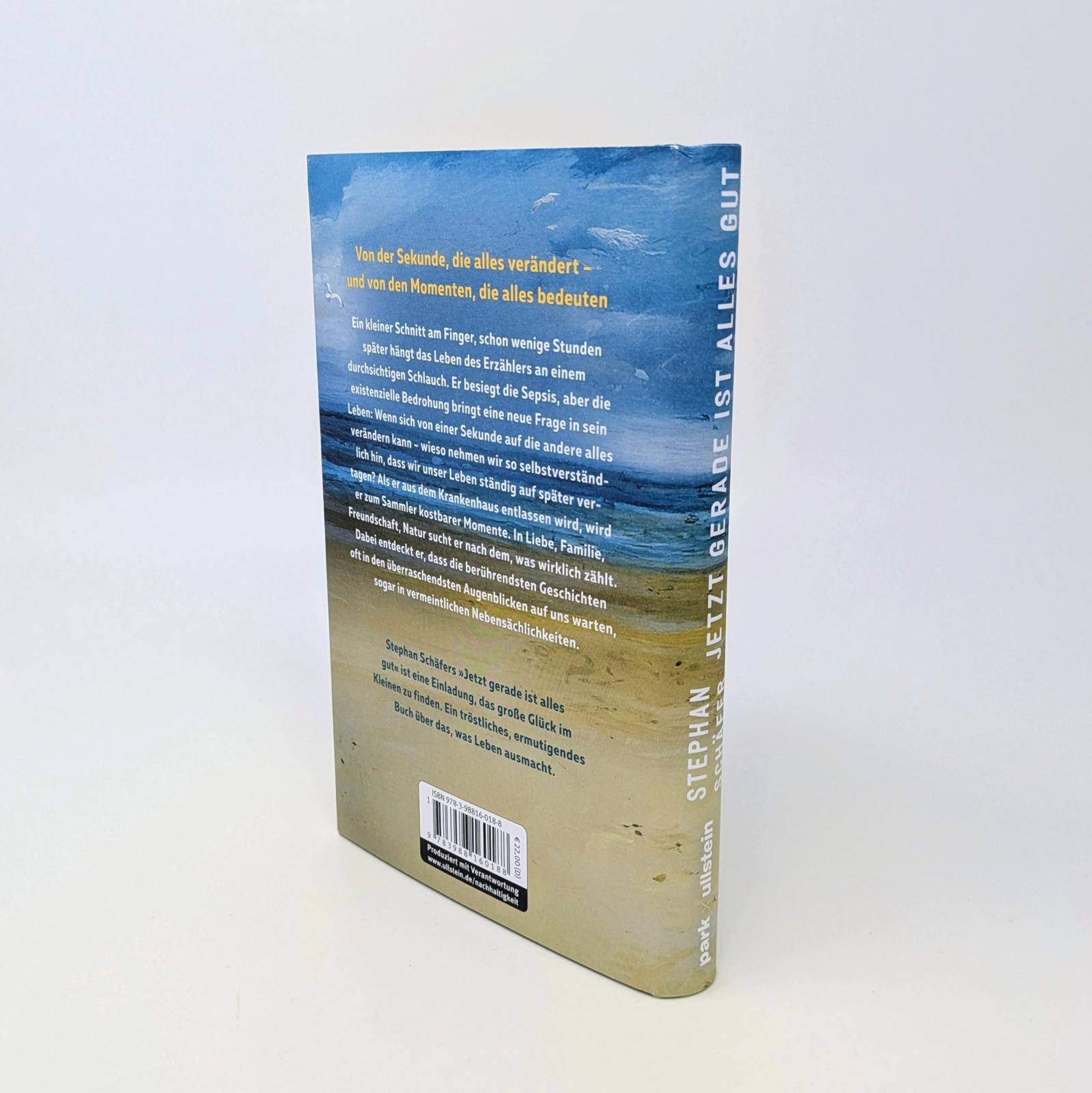 Beispielinhalt (Bild) Jetzt gerade ist alles gut