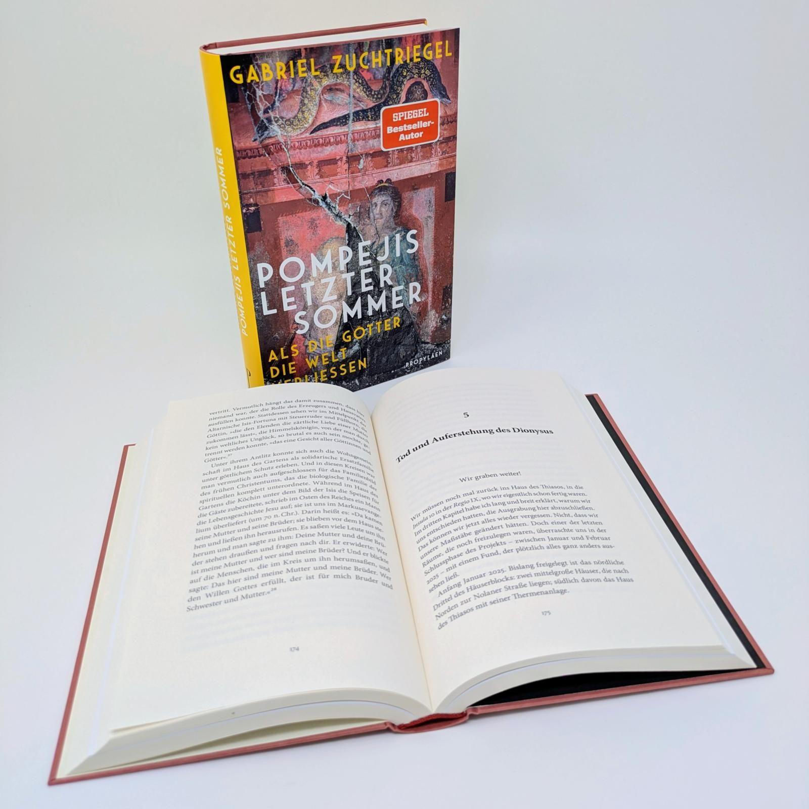 Beispielinhalt (Bild) Pompejis letzter Sommer