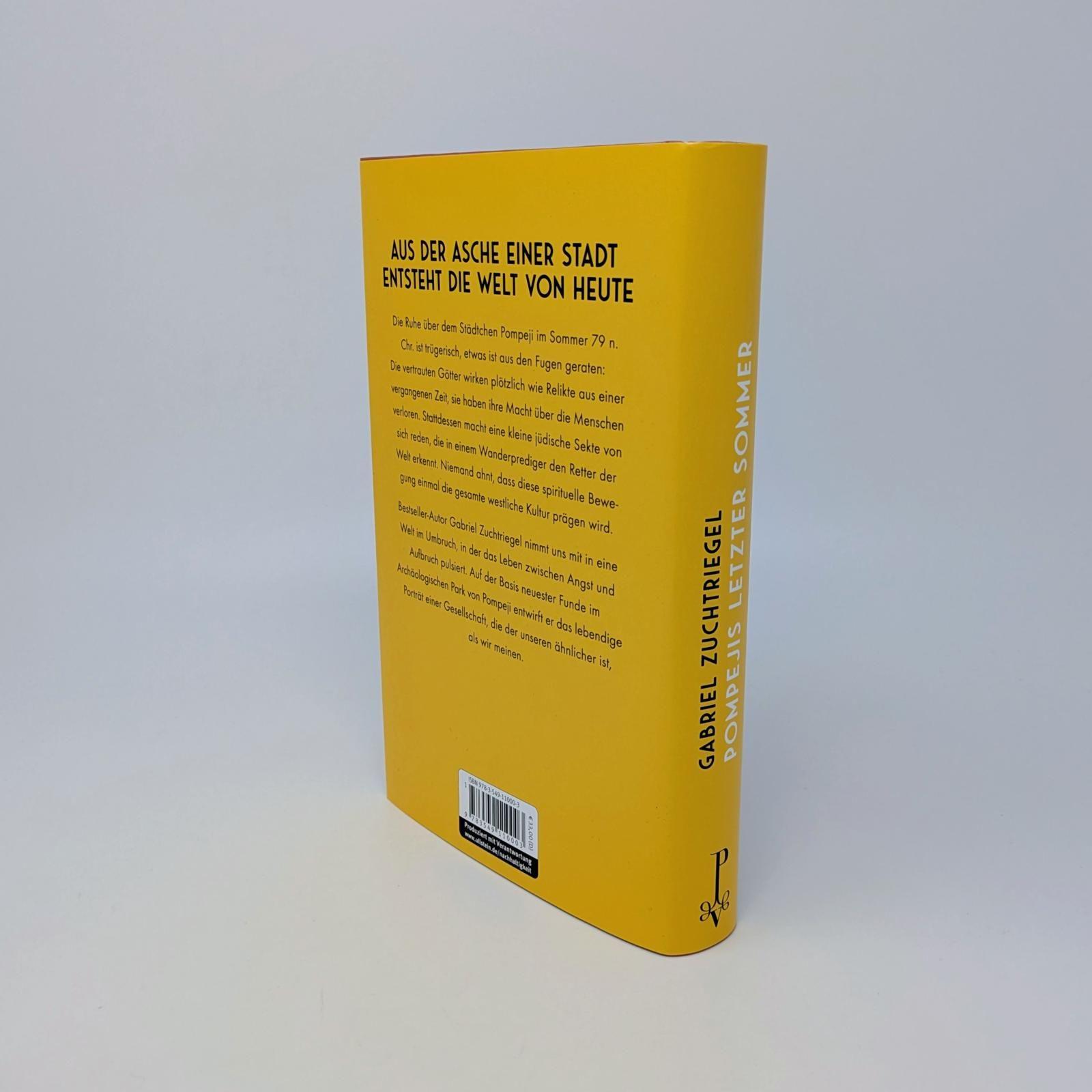 Beispielinhalt (Bild) Pompejis letzter Sommer