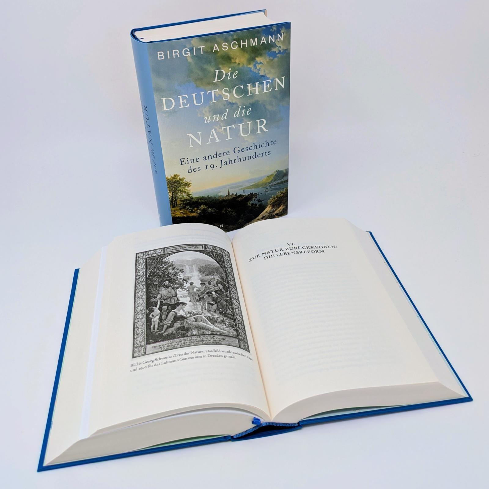 Beispielinhalt (Bild) Die Deutschen und die Natur