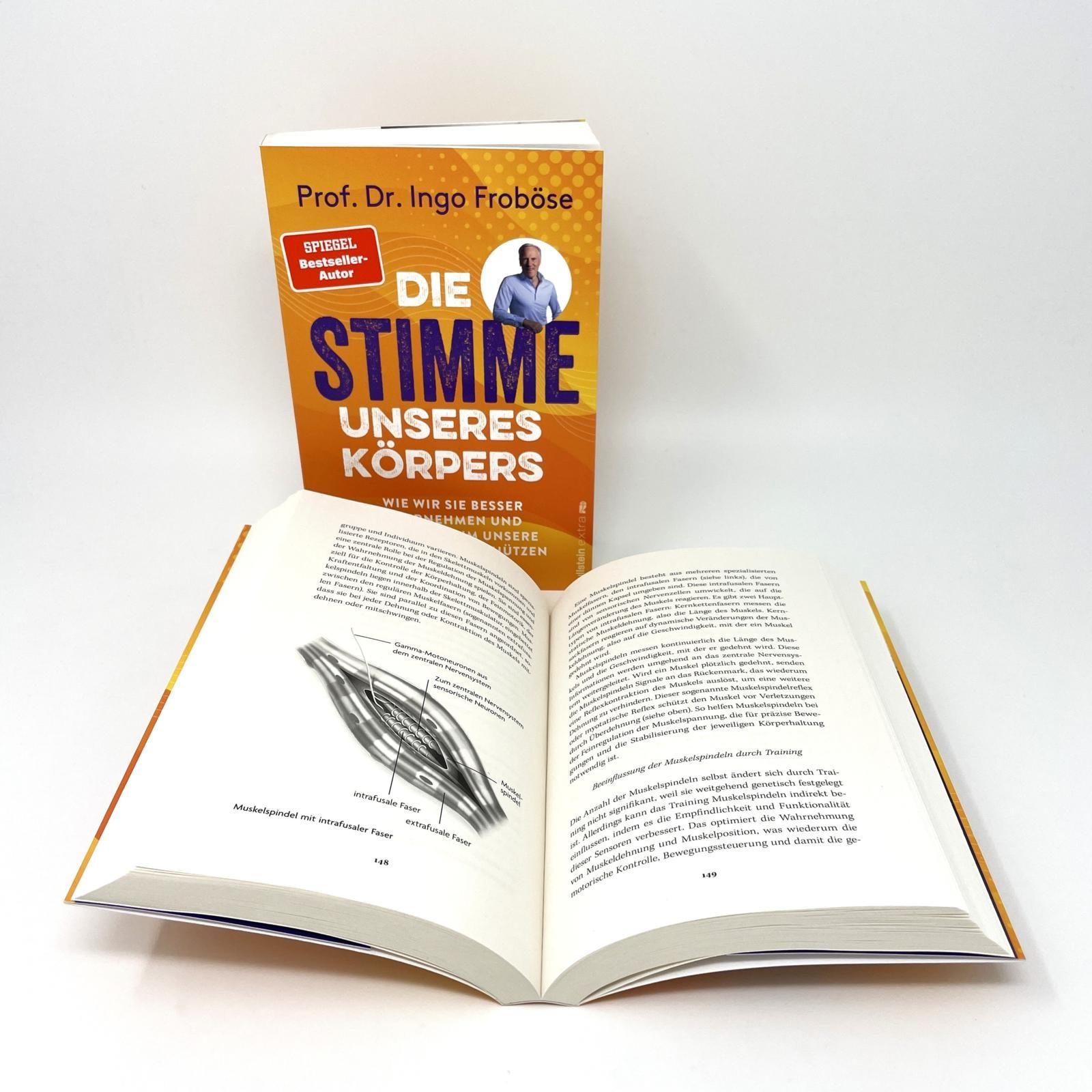Beispielinhalt (Bild) Die Stimme unseres Körpers