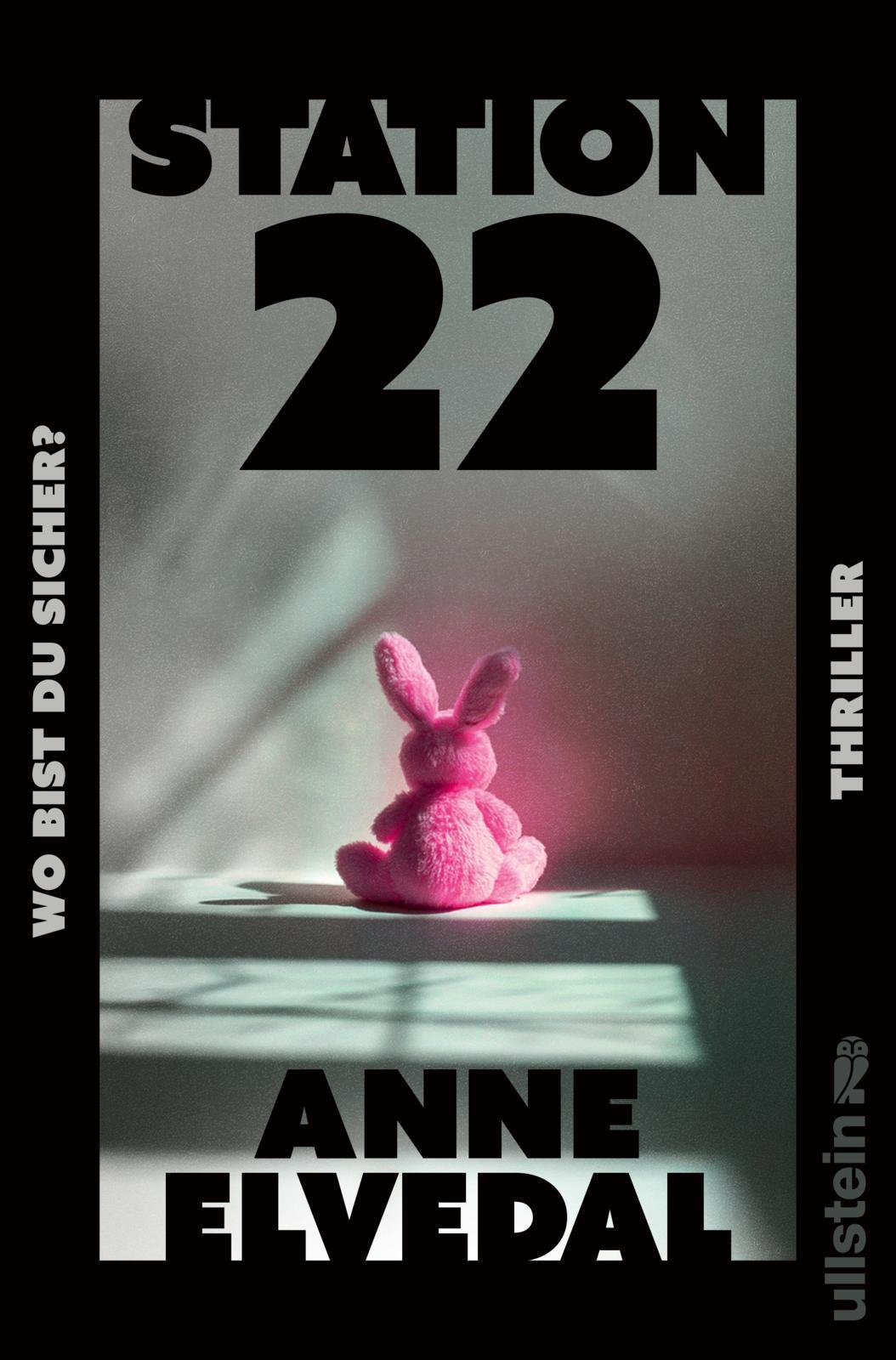 Vorderes Coverbild Station 22. Wo bist du sicher?