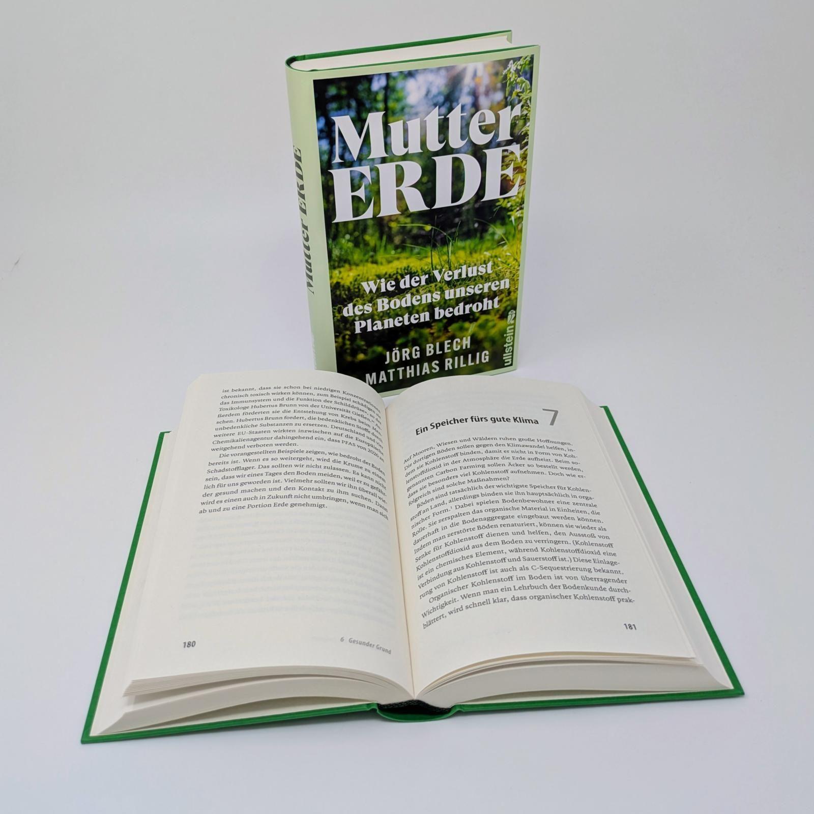 Beispielinhalt (Bild) Mutter Erde