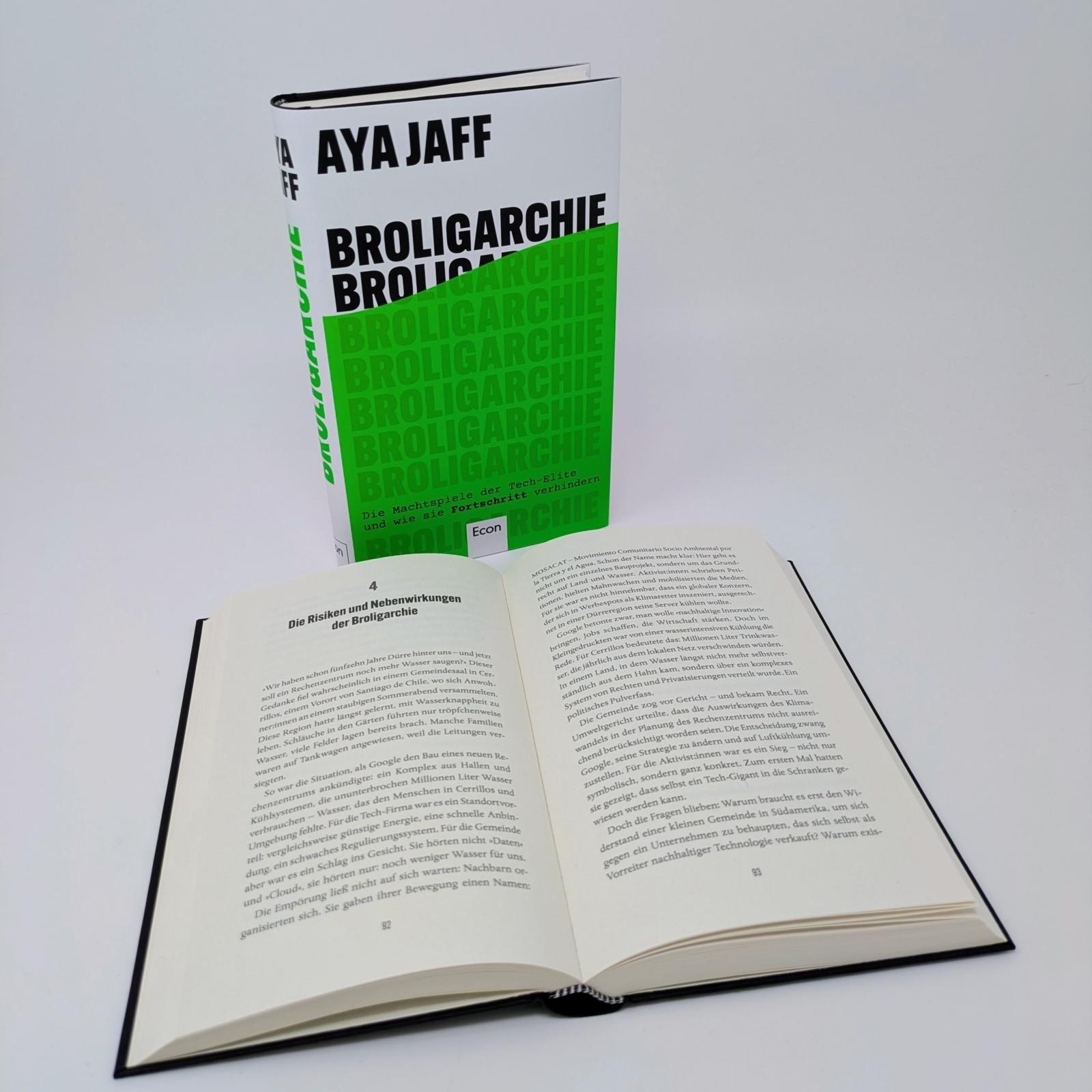 Beispielinhalt (Bild) Broligarchie