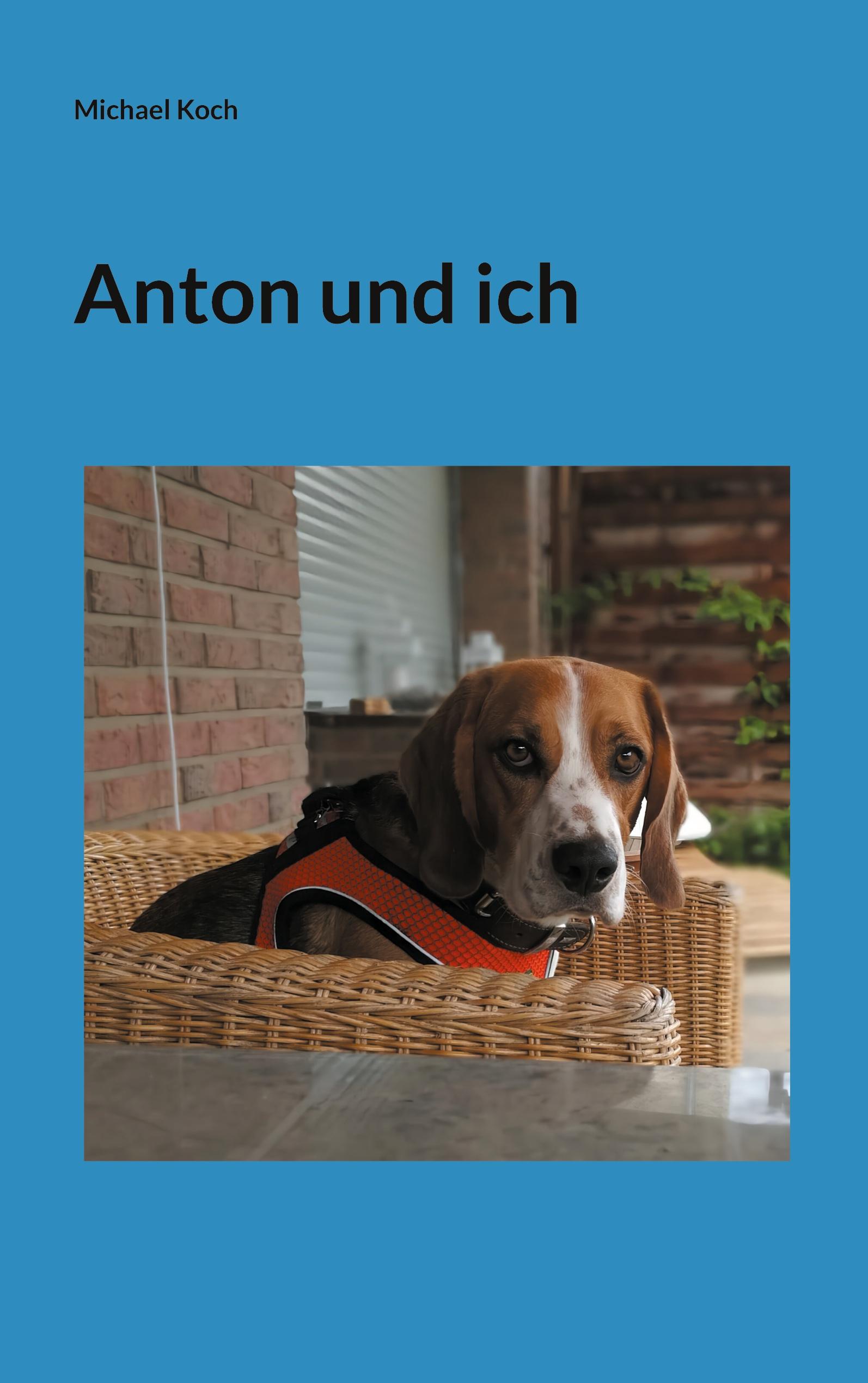 Vorderes Coverbild Anton und ich