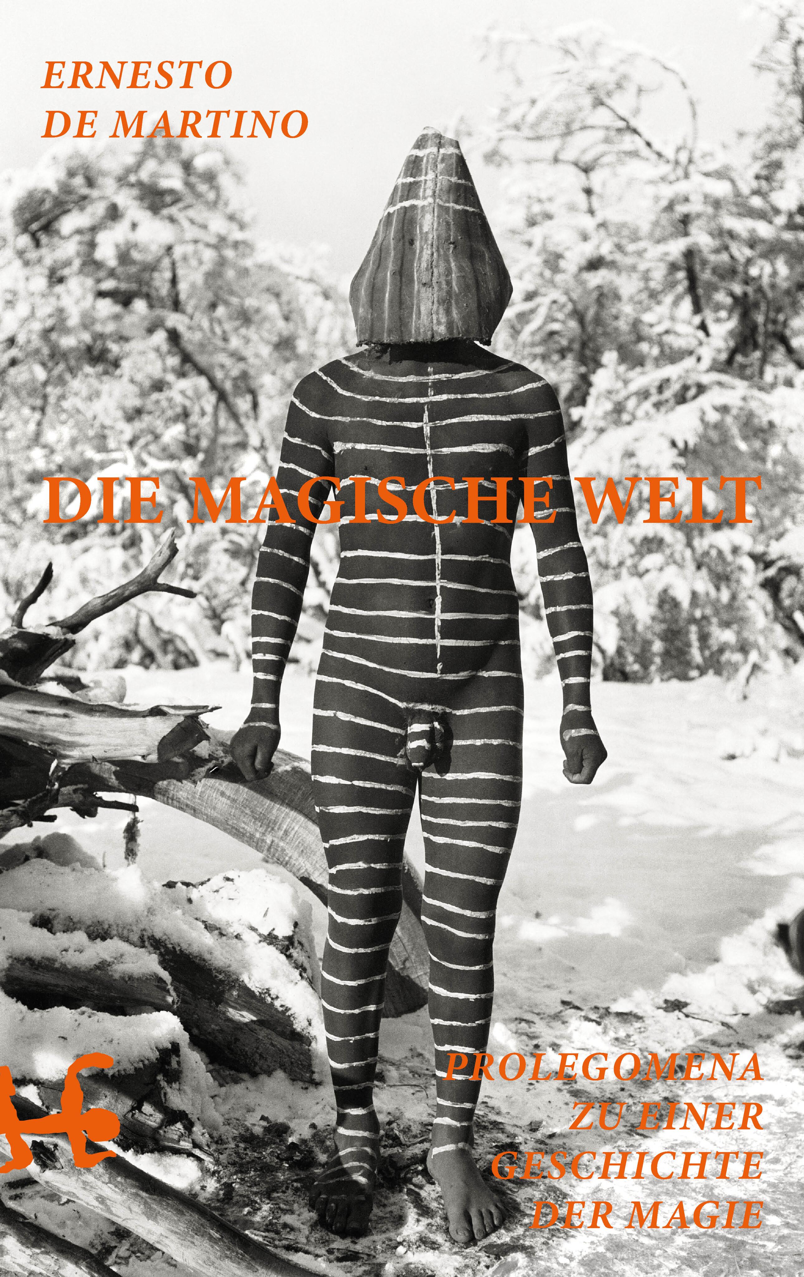 Vorderes Coverbild Die magische Welt