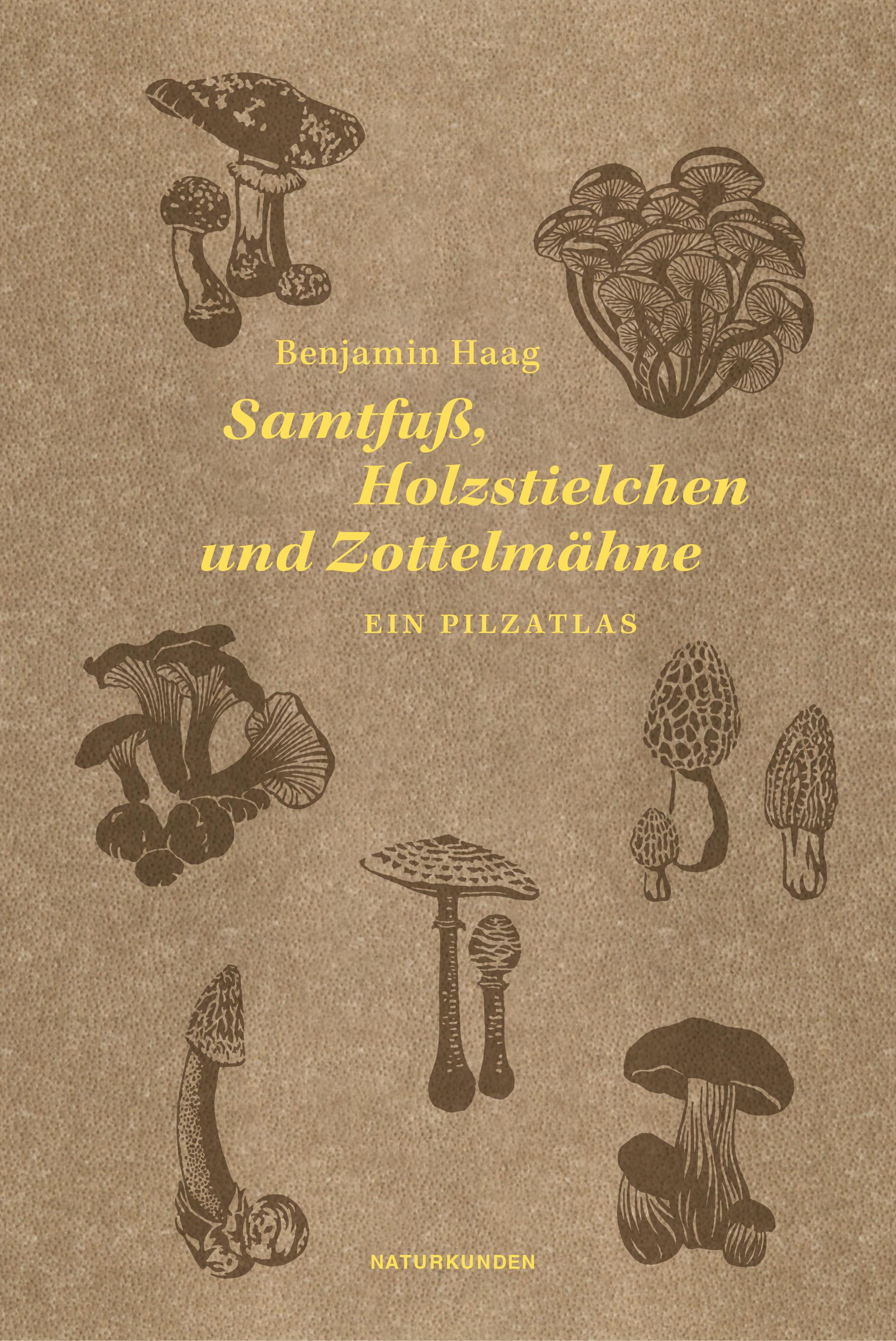 Vorderes Coverbild Samtfuß, Holzstielchen und Zottelmähne