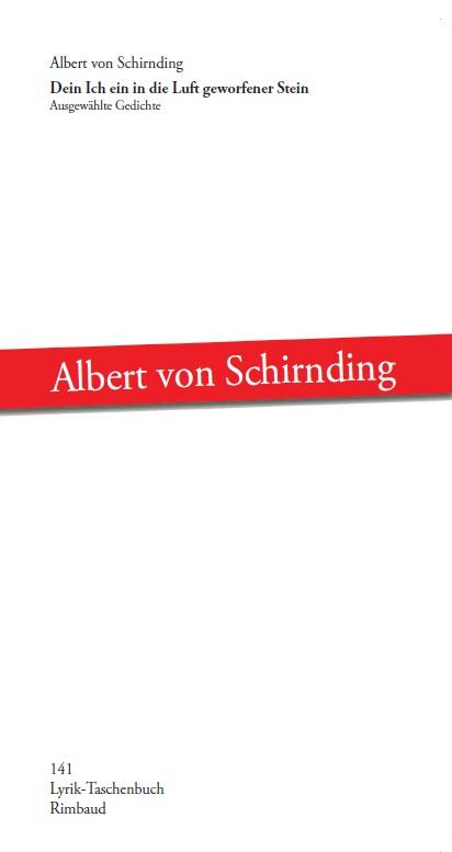 Vorderes Coverbild Dein Ich ein in die Luft geworfener Stein
