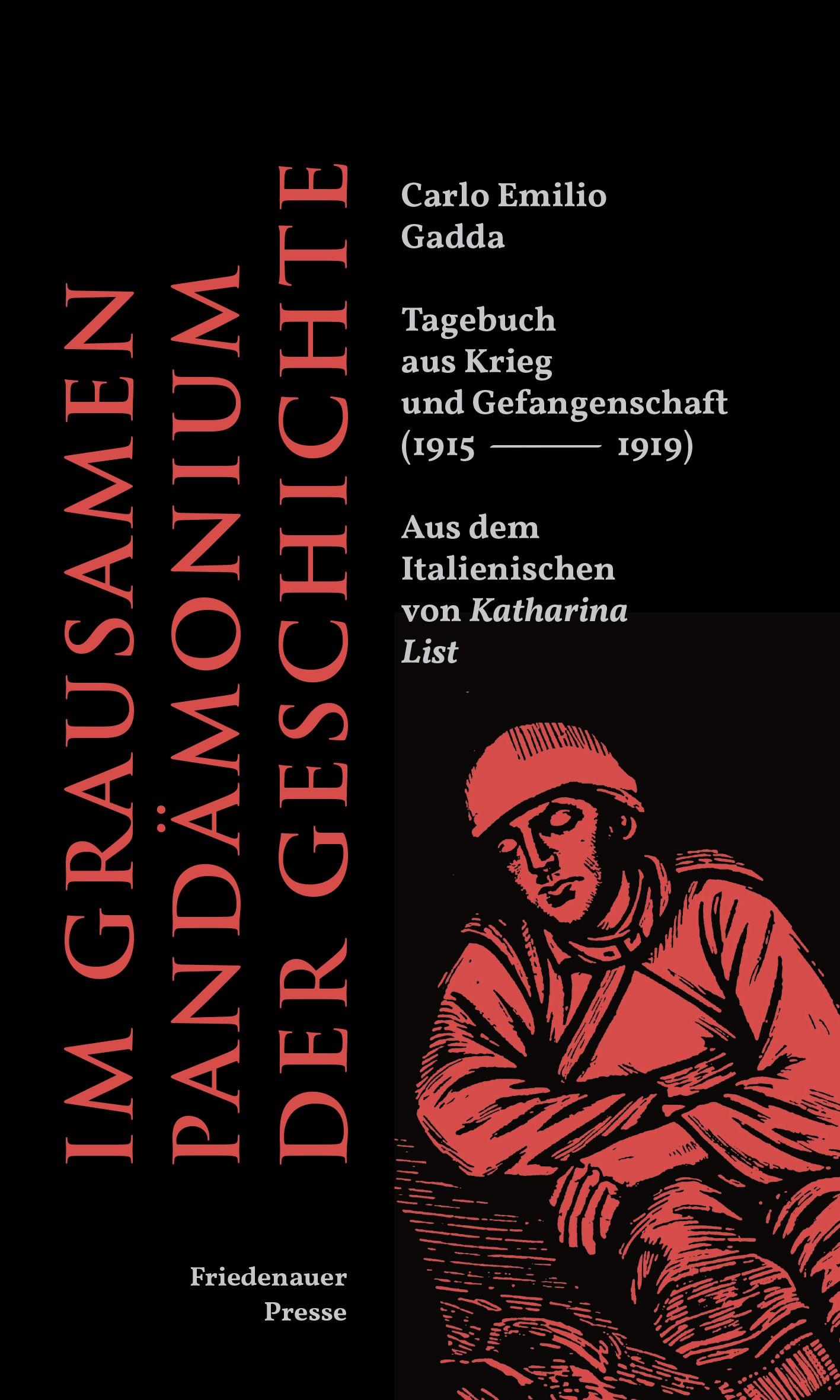 Vorderes Coverbild Im grausamen Pandämonium der Geschichte