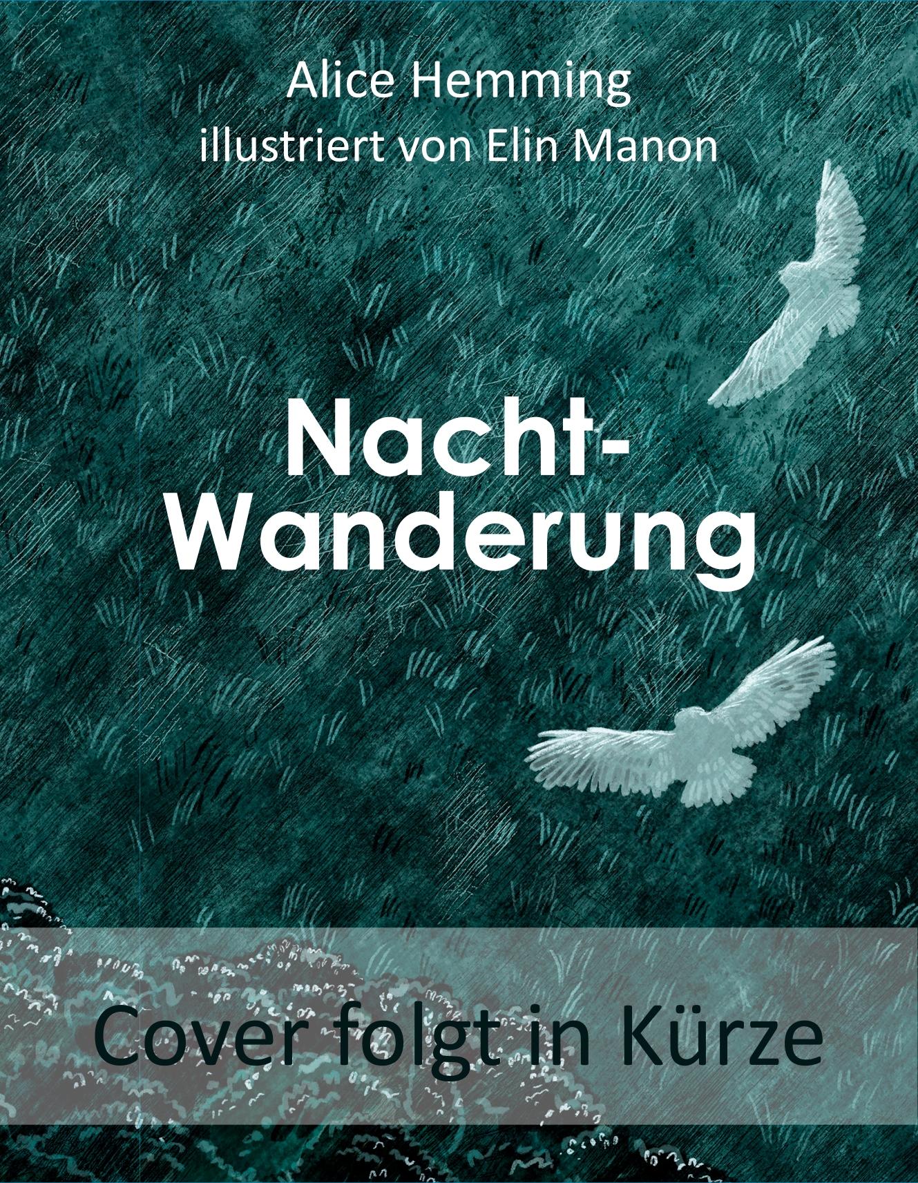 Vorderes Coverbild Nachtwanderung