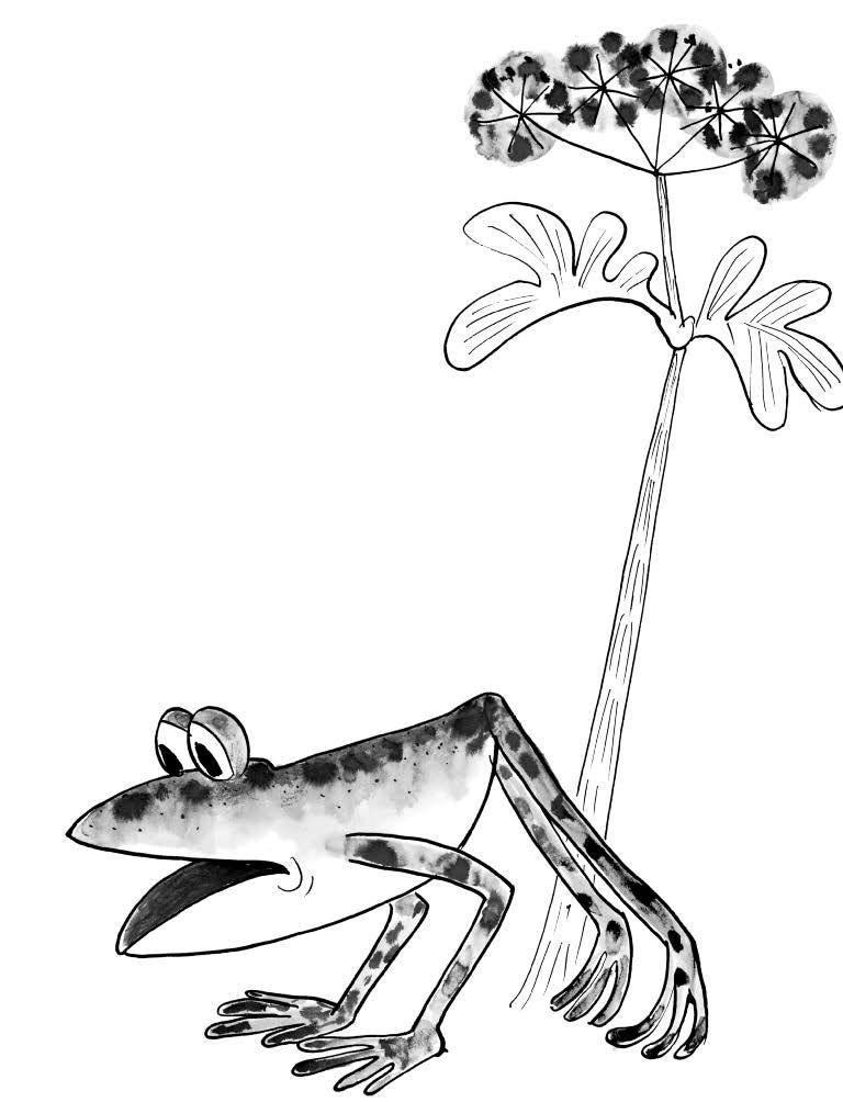 Beispielinhalt (Bild) Das kleine Ich bin ich