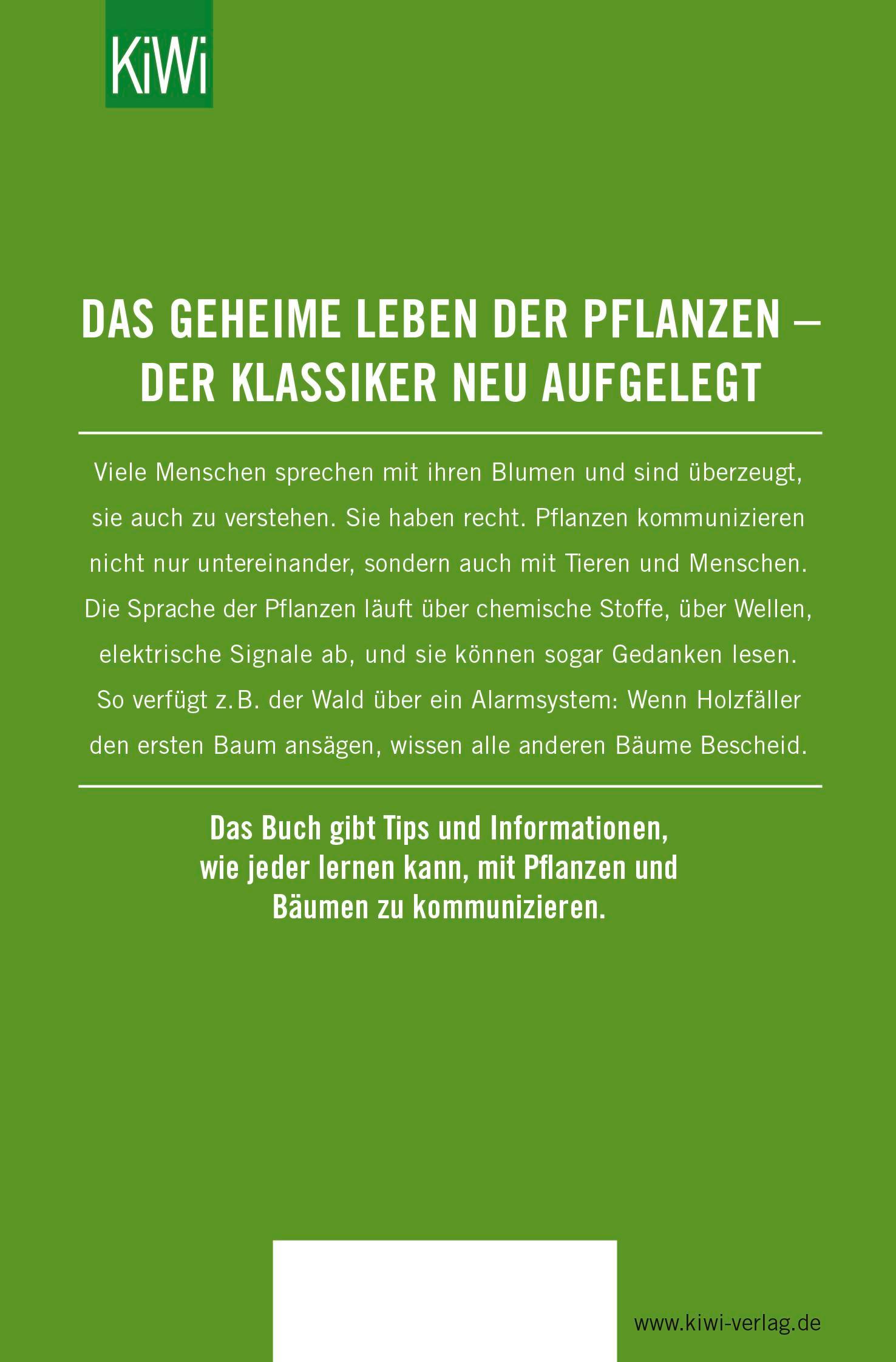 Rückseitencover Der Ruf der Rose