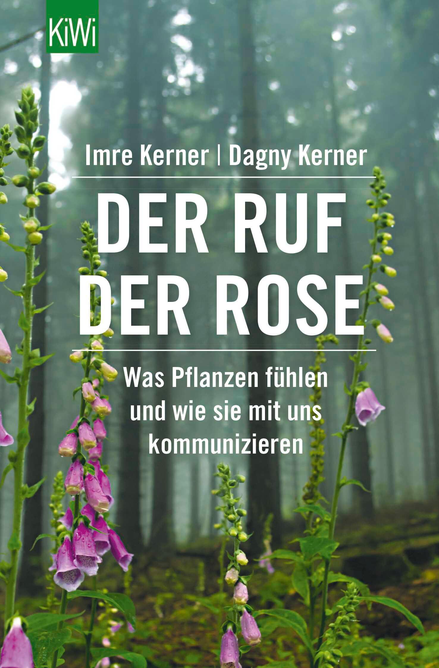 Vorderes Coverbild Der Ruf der Rose