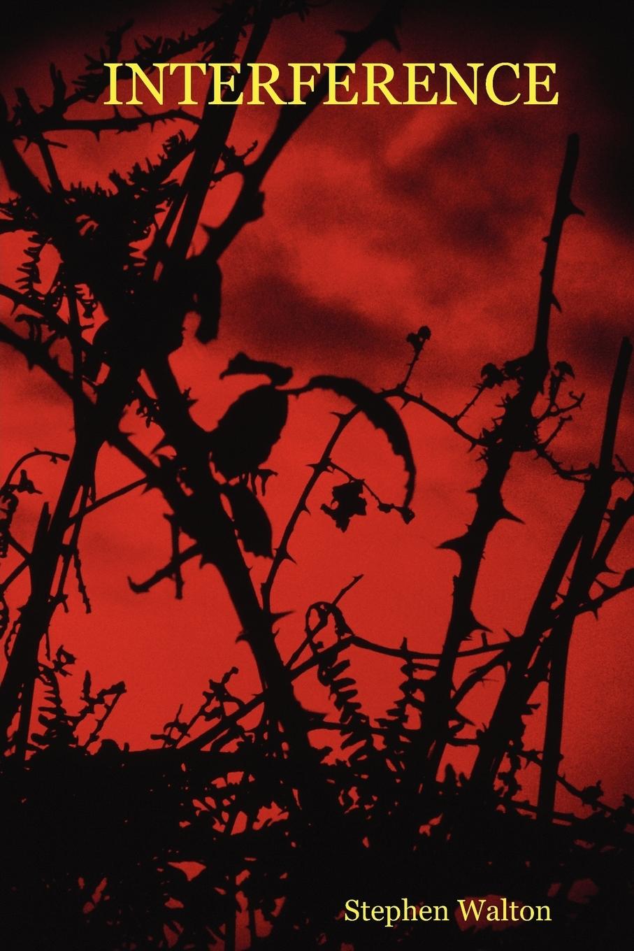 Vorderes Coverbild INTERFERENCE