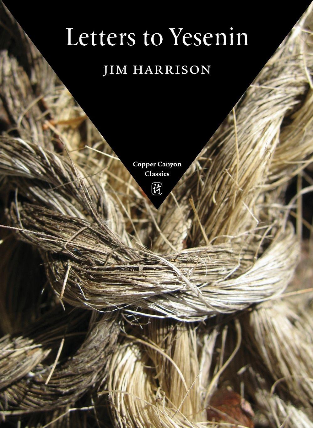Vorderes Coverbild Letters to Yesenin