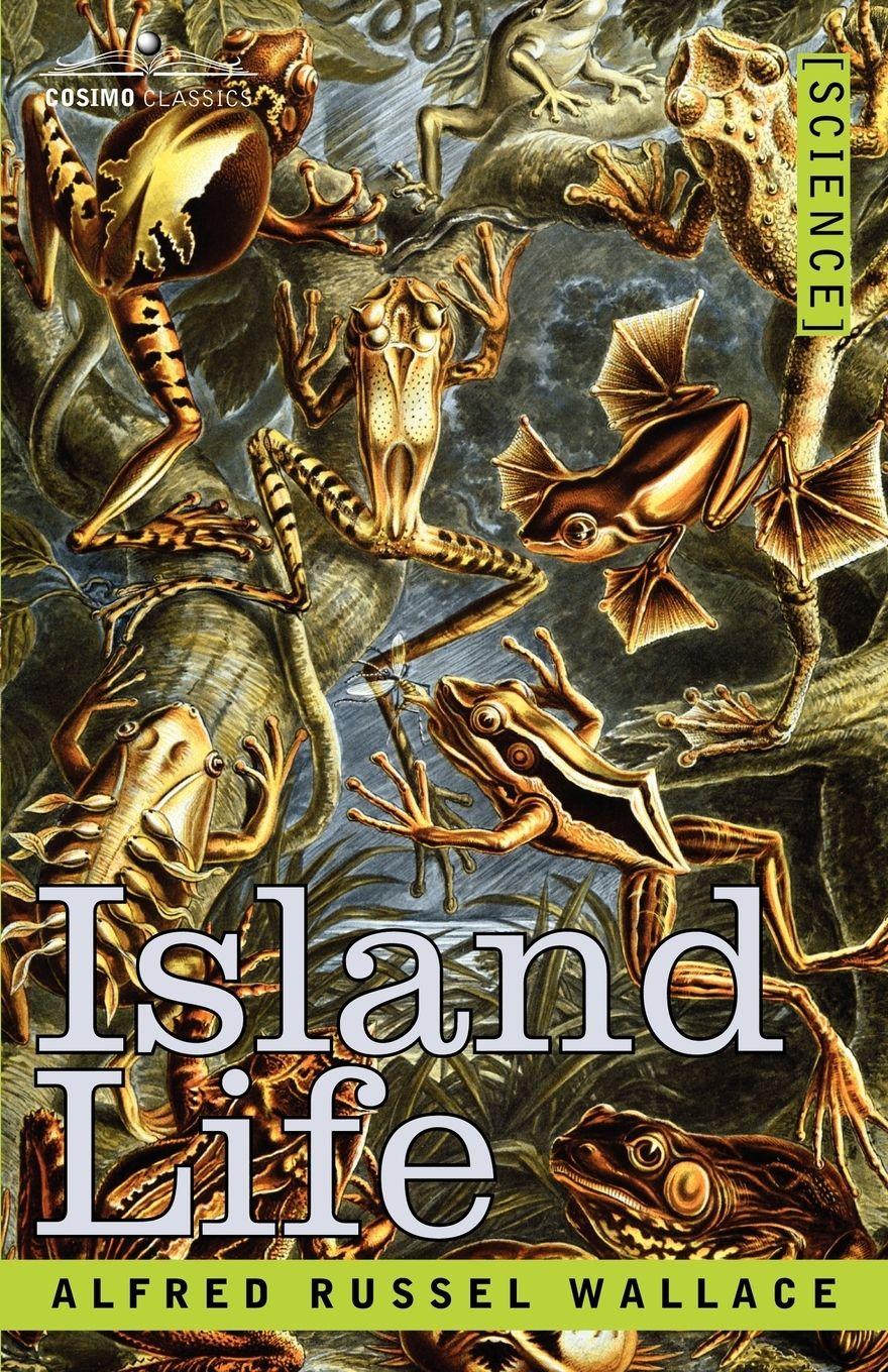 Vorderes Coverbild Island Life