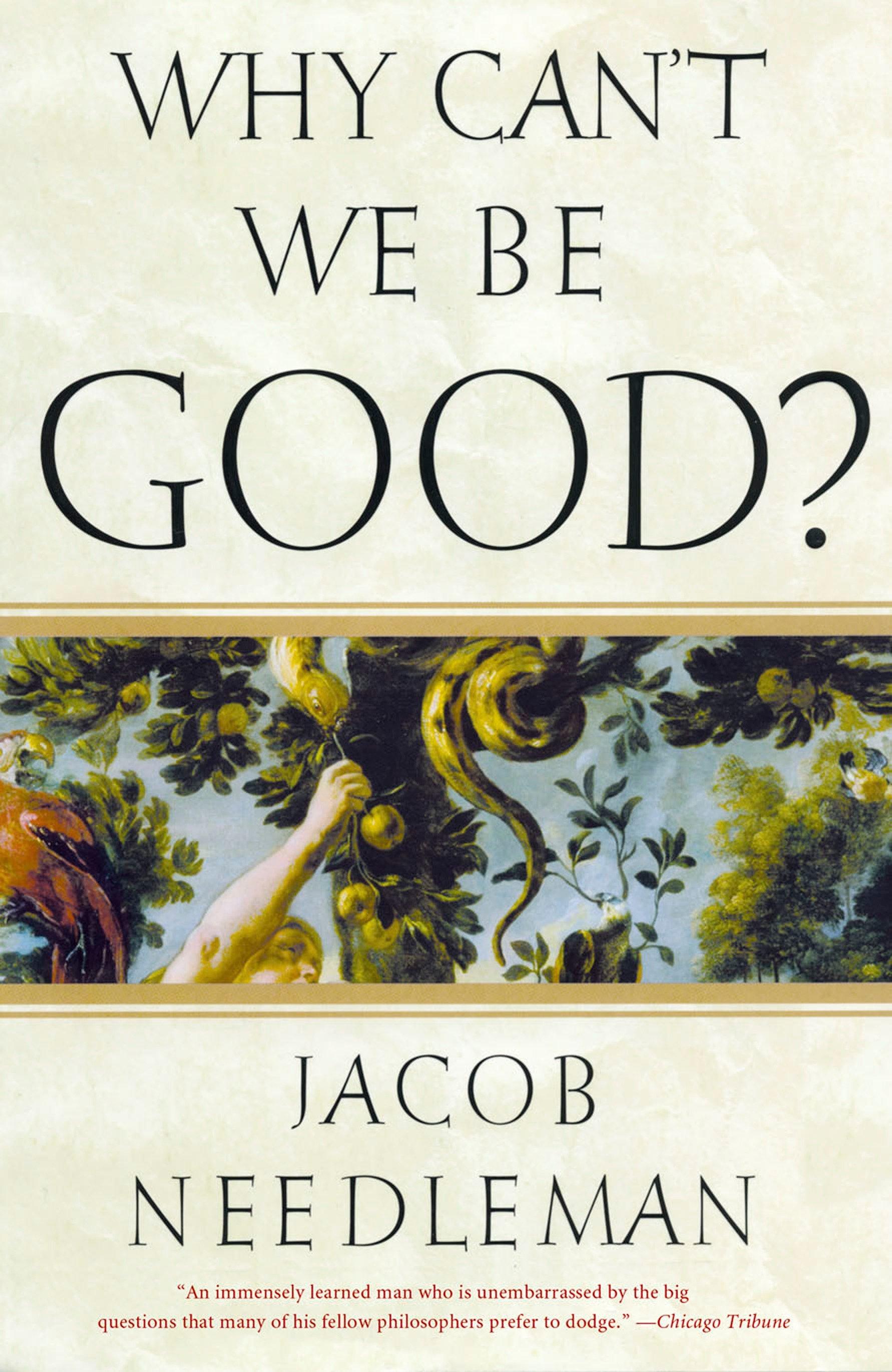Vorderes Coverbild Why Can't We Be Good?