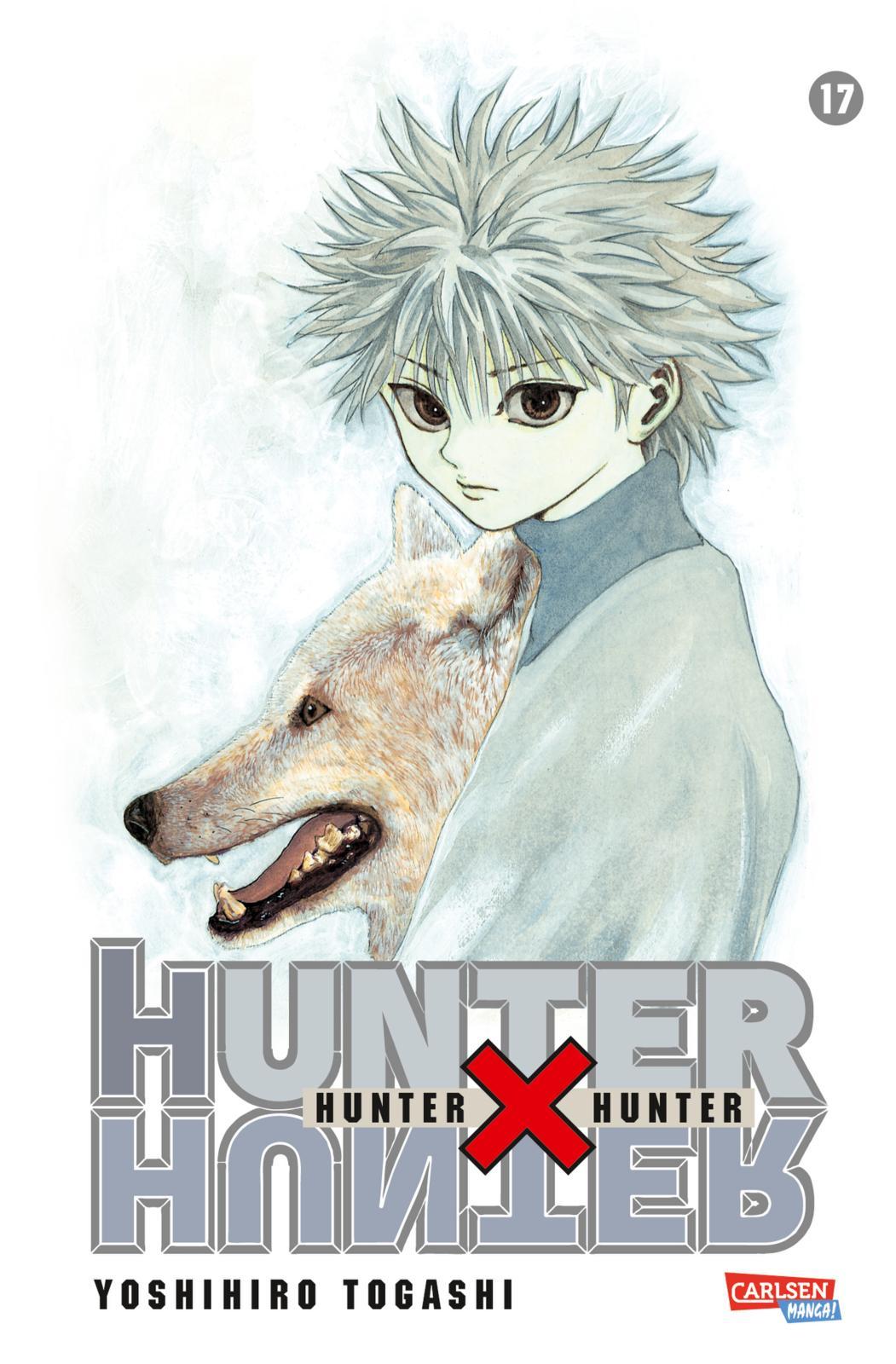 Vorderes Coverbild Hunter X Hunter 17