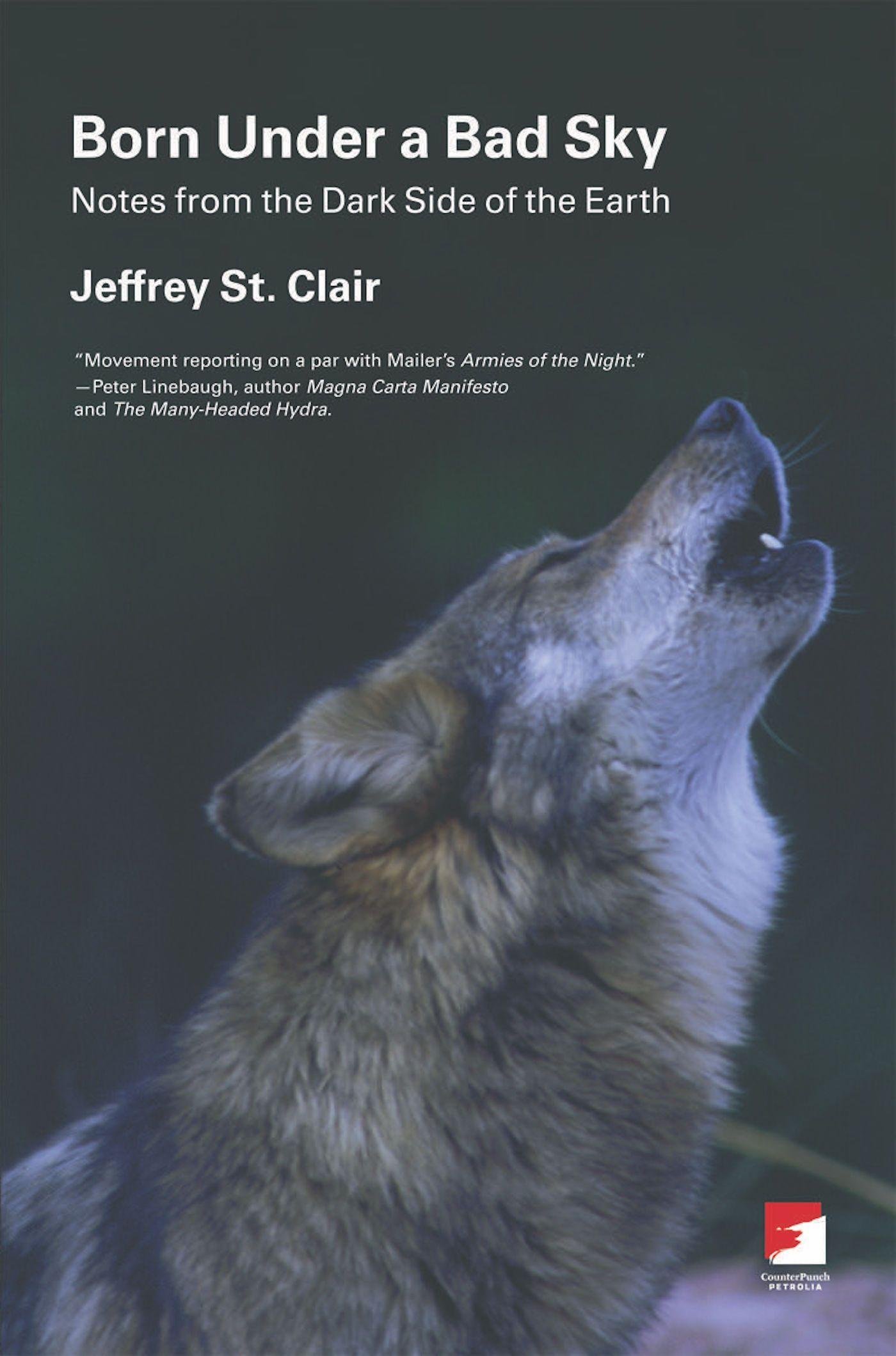 Vorderes Coverbild Born Under a Bad Sky