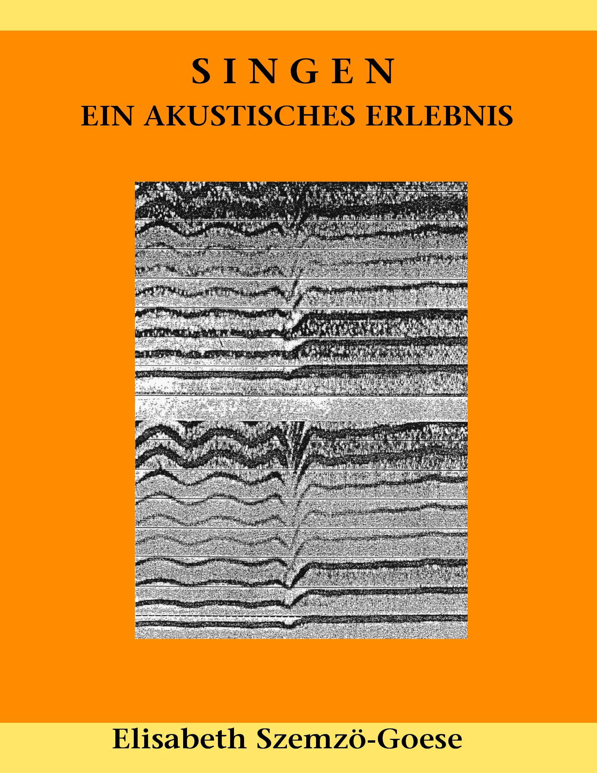 Vorderes Coverbild Singen - ein akustisches Erlebnis