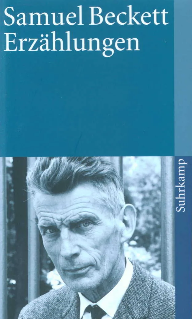Vorderes Coverbild Erzählungen