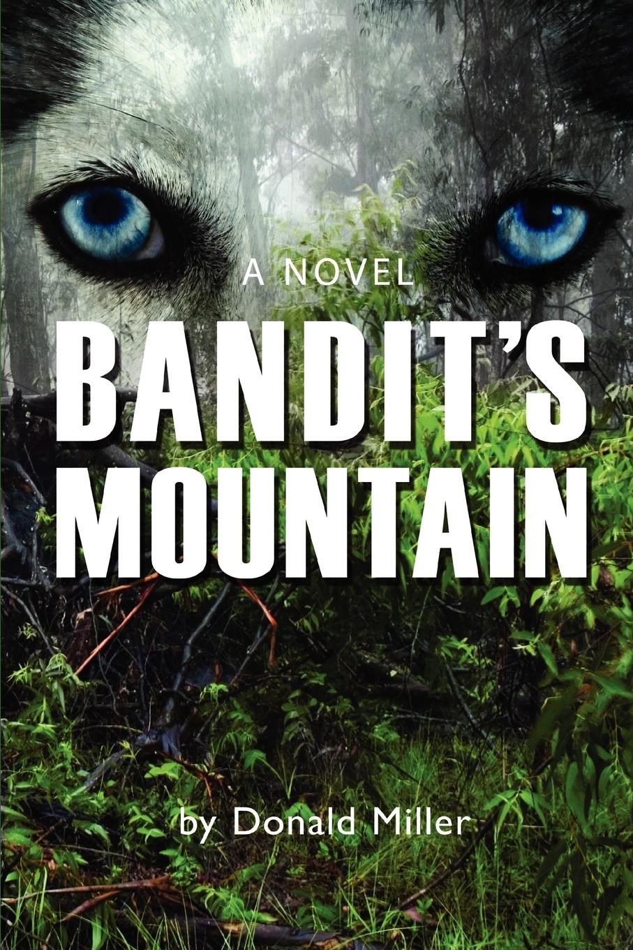 Vorderes Coverbild Bandit's Mountain