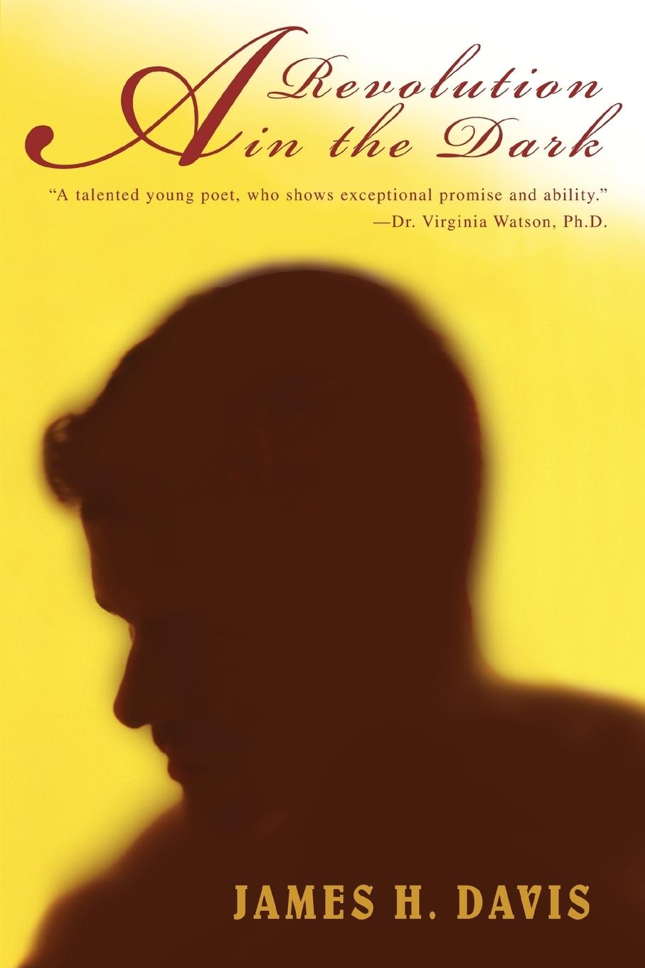 Vorderes Coverbild A Revolution in the Dark