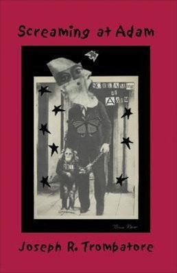 Vorderes Coverbild Screaming at Adam