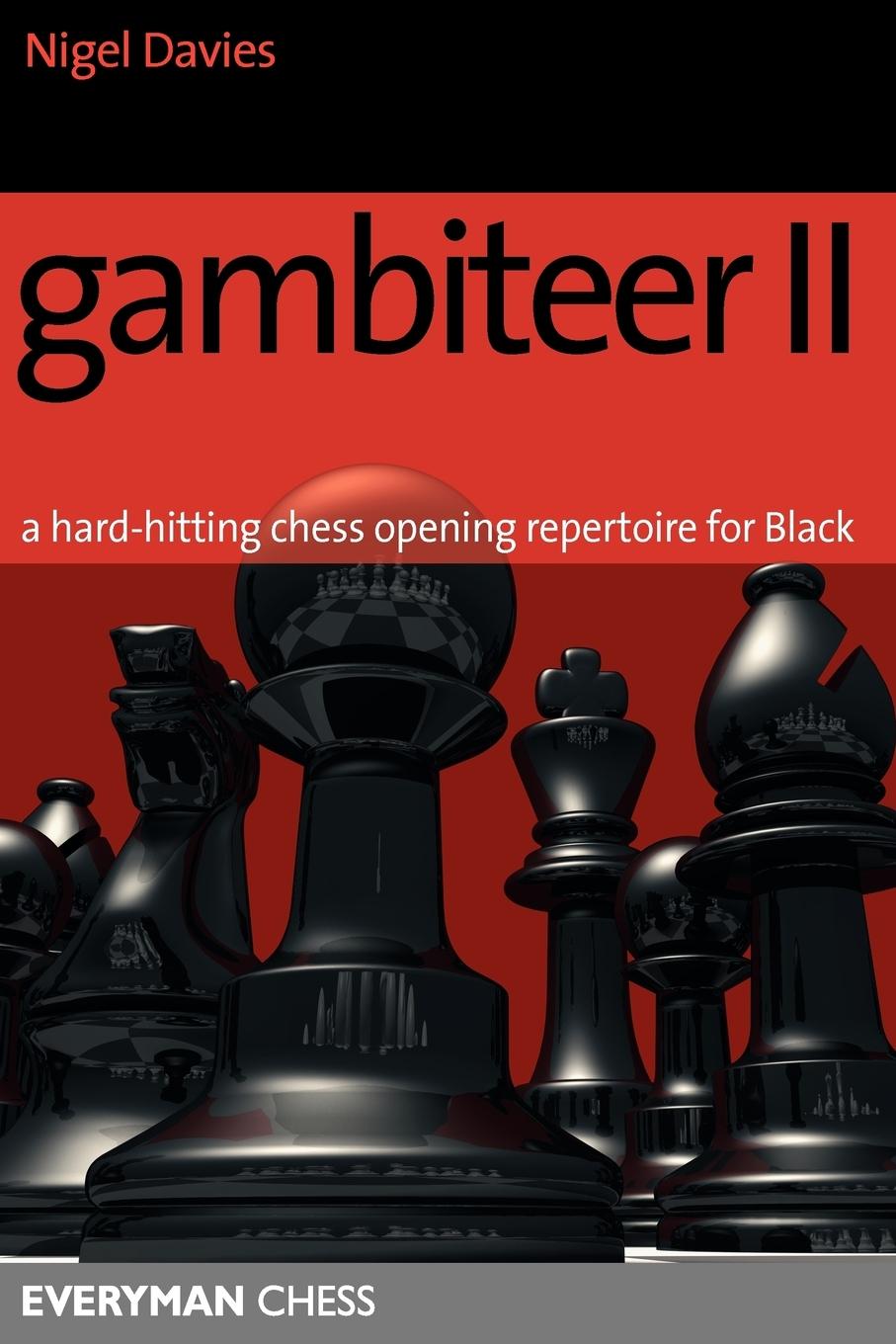 Vorderes Coverbild Gambiteer 2