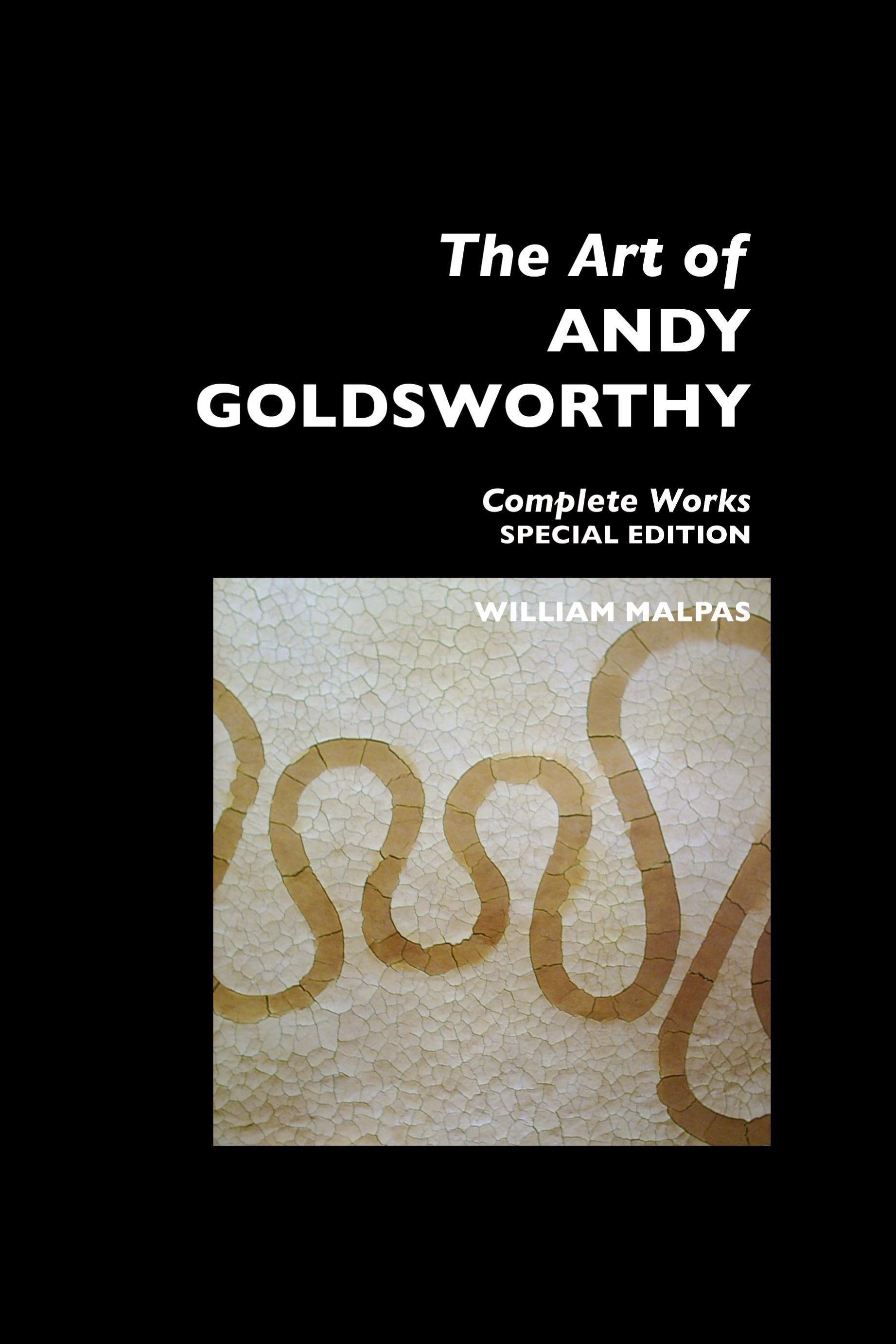 Vorderes Coverbild THE ART OF ANDY GOLDSWORTHY