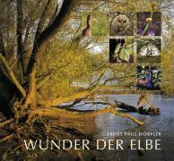 Vorderes Coverbild Wunder der Elbe