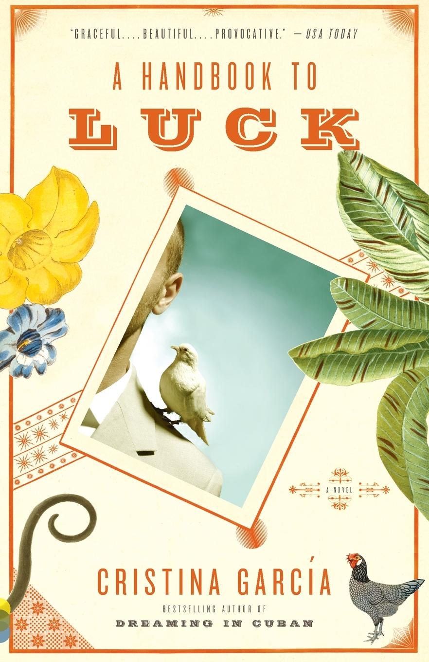 Vorderes Coverbild A Handbook to Luck