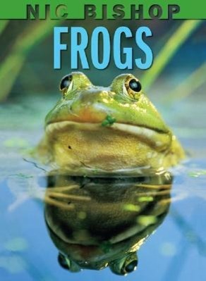 Vorderes Coverbild Nic Bishop: Frogs